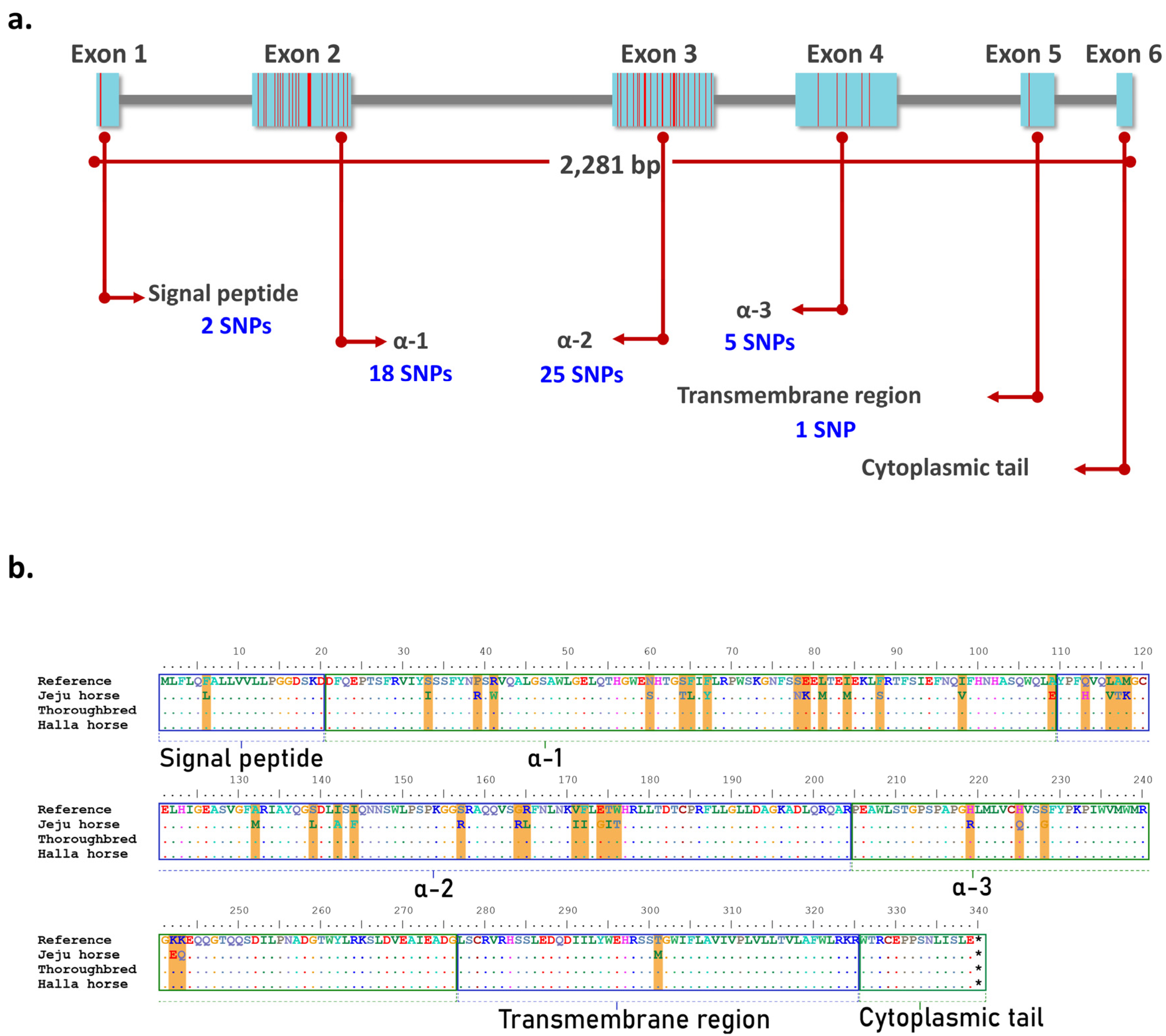 how to identify exon and intron in sequence bioedit how to identify exon and intron in sequence bioedit