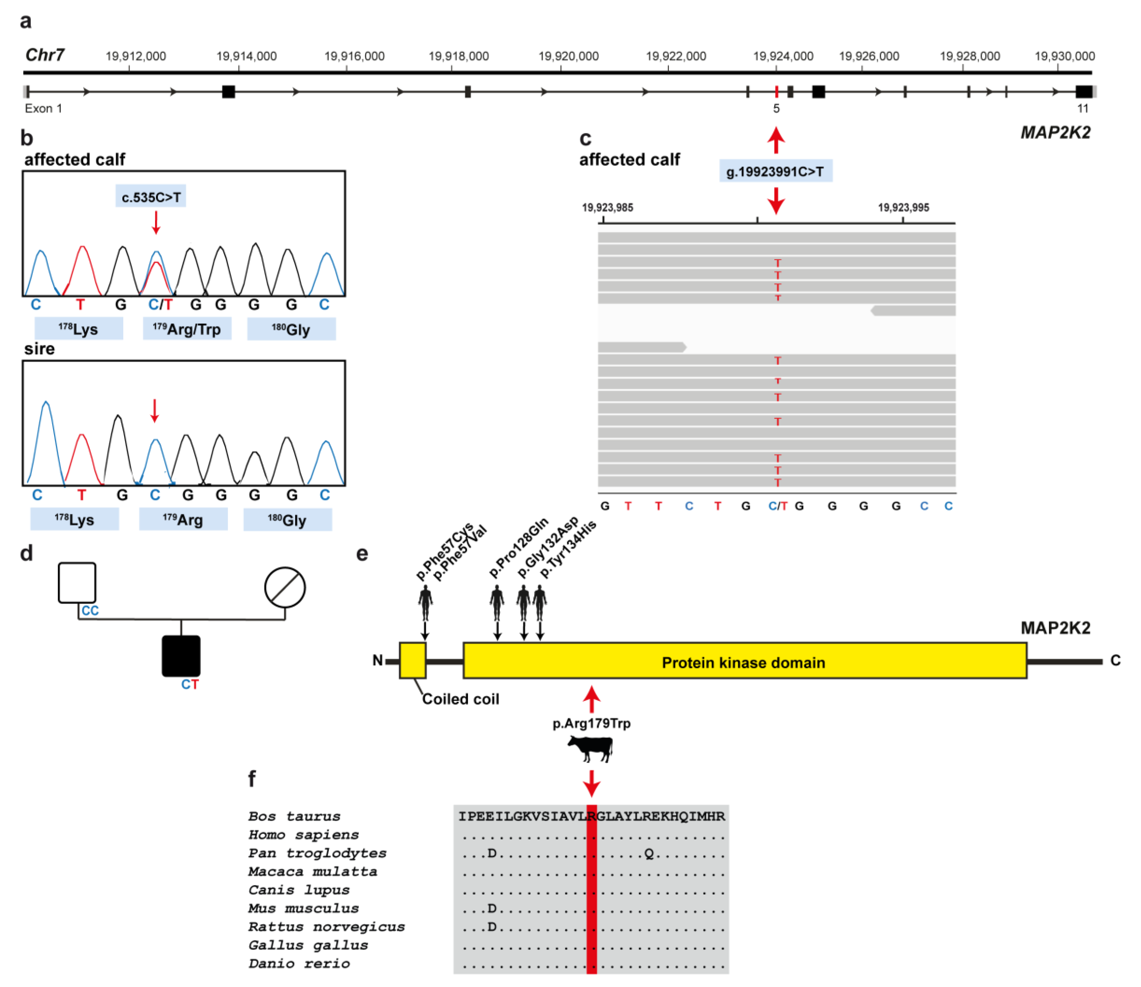 Animals 11 01931 g003 550