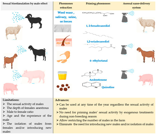 Animals Special Issue Nanotechnology In Animal Science