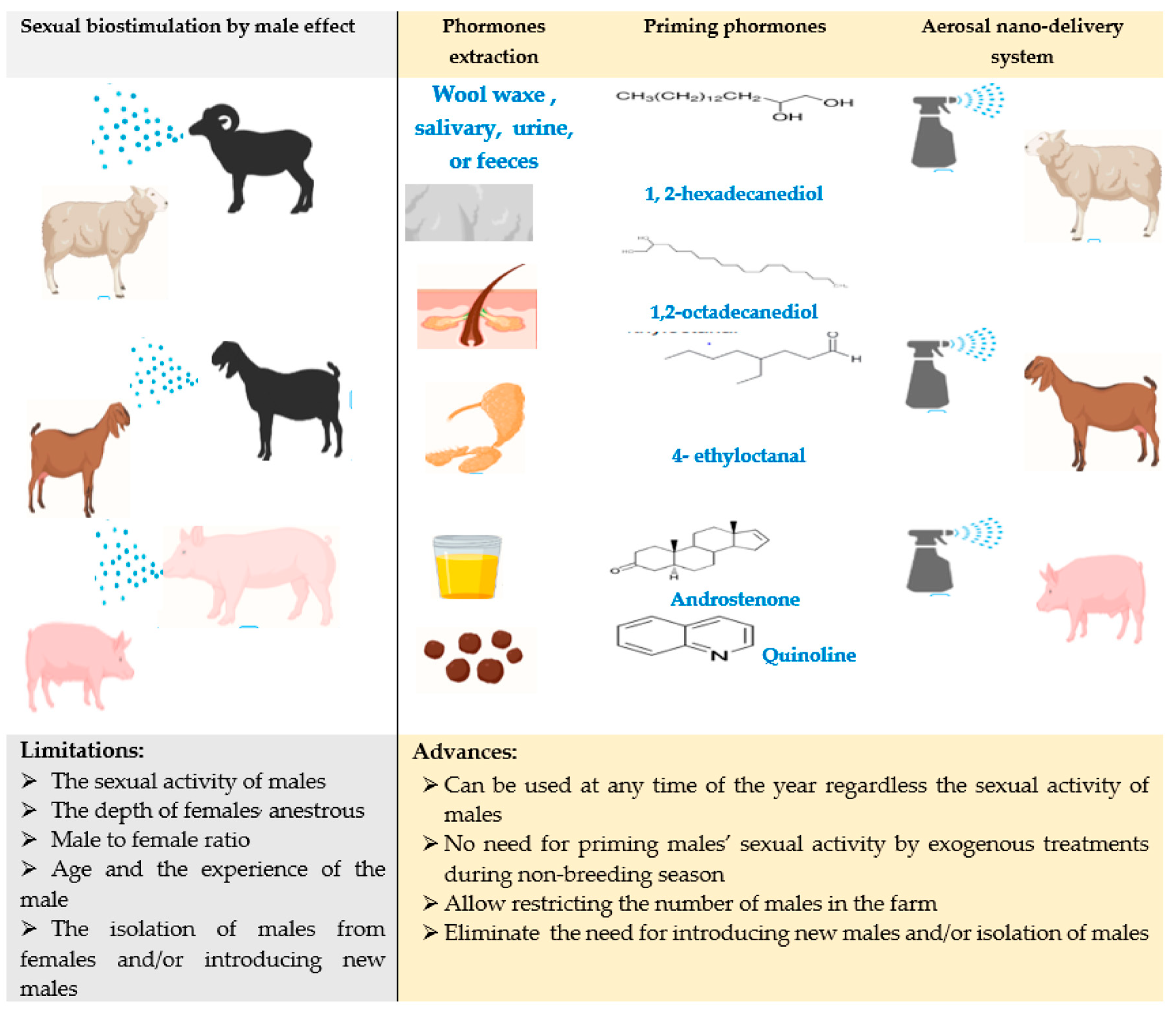 Animals | Free Full-Text | Nanotechnology and Reproductive Management of Farm Animals: Challenges and Advances Animals | Free Full-Text | Nanotechnology and Reproductive Management of Farm Animals: Challenges and Advances
