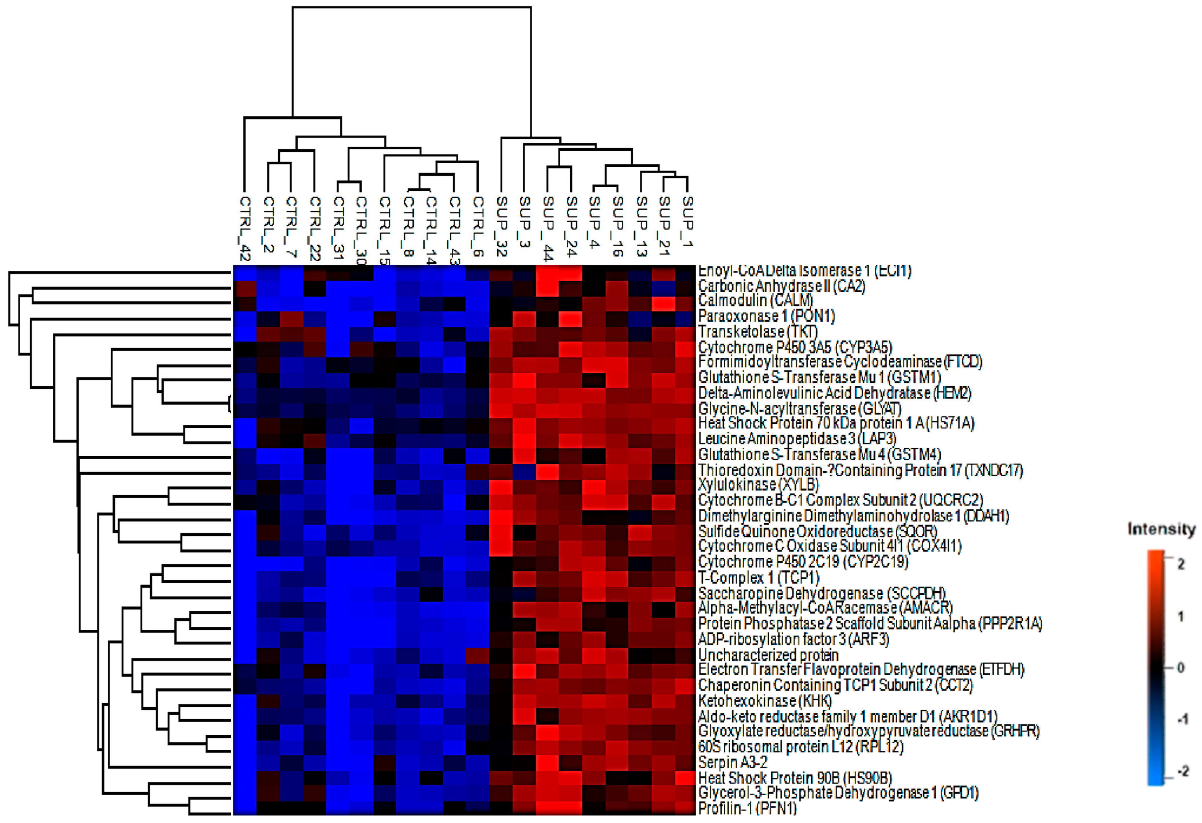Animals 11 01934 g001