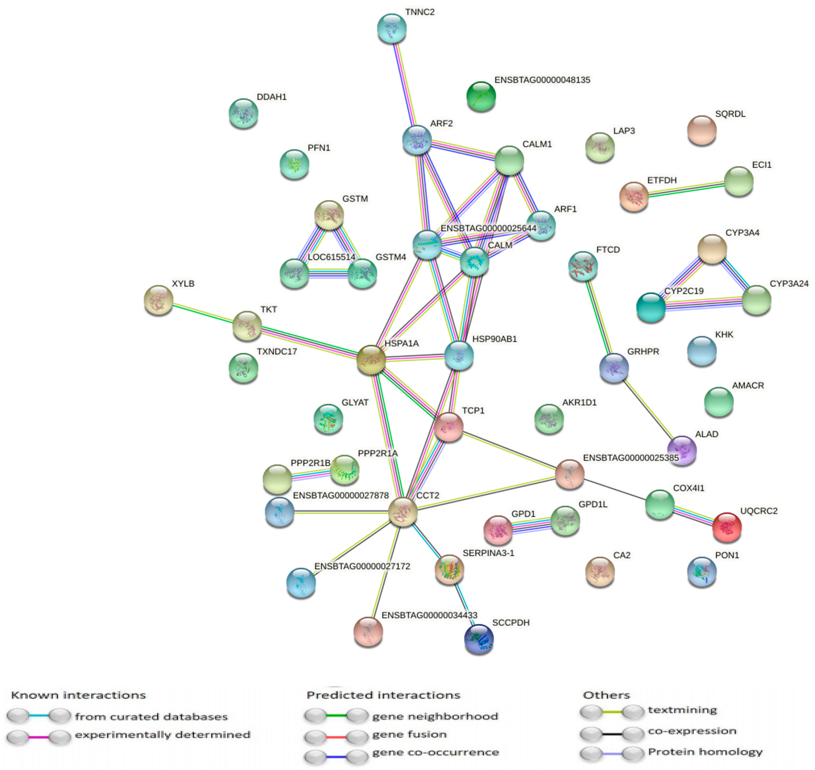 Animals 11 01934 g002
