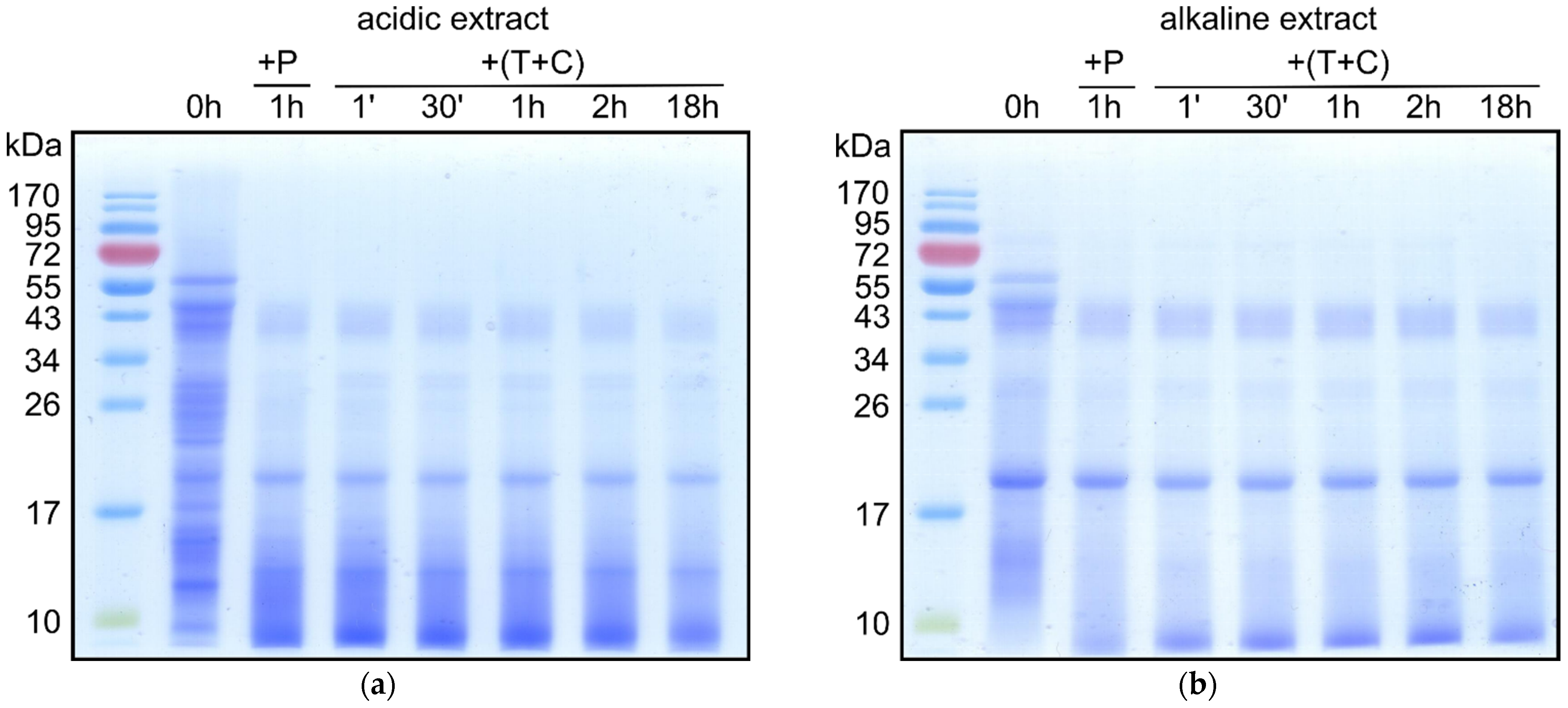 Animals 11 01942 g002