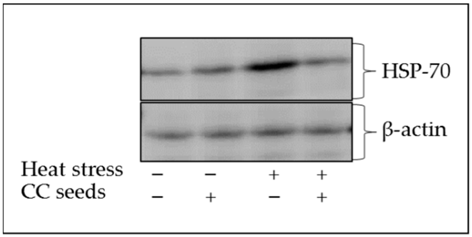 Animals 11 01951 g001