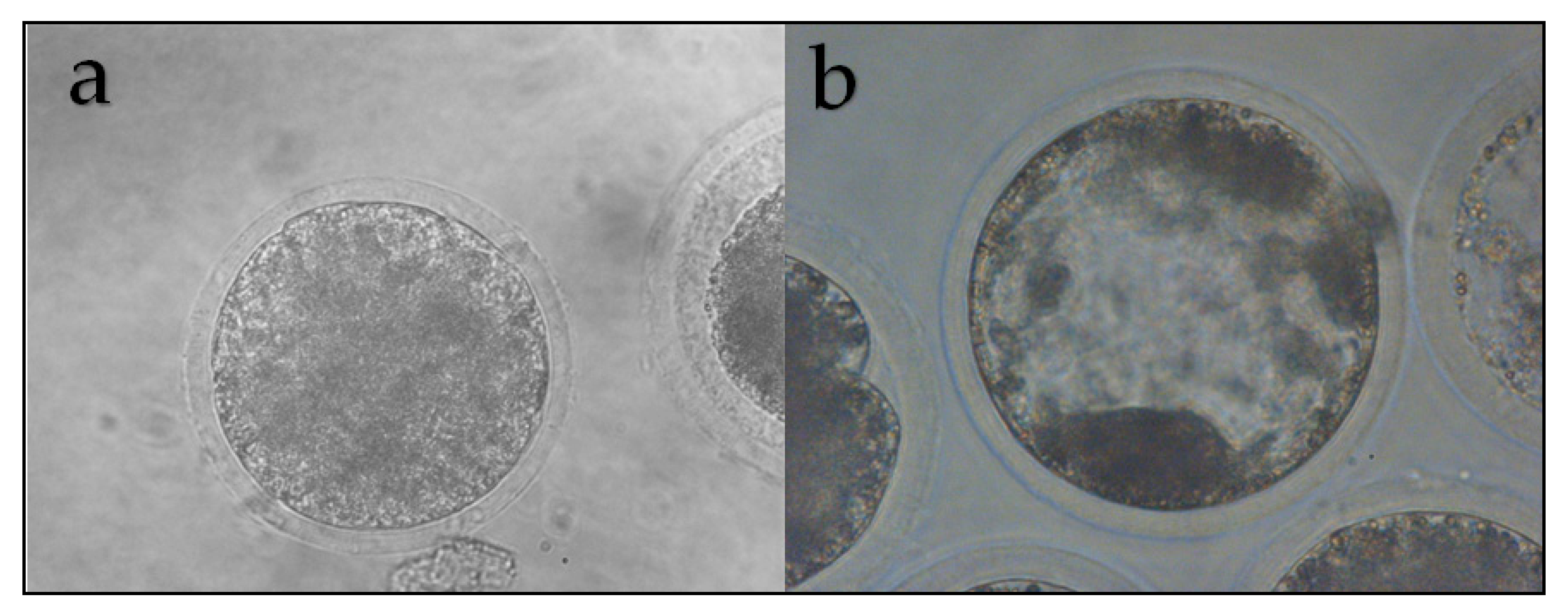 Animals 11 01961 g006