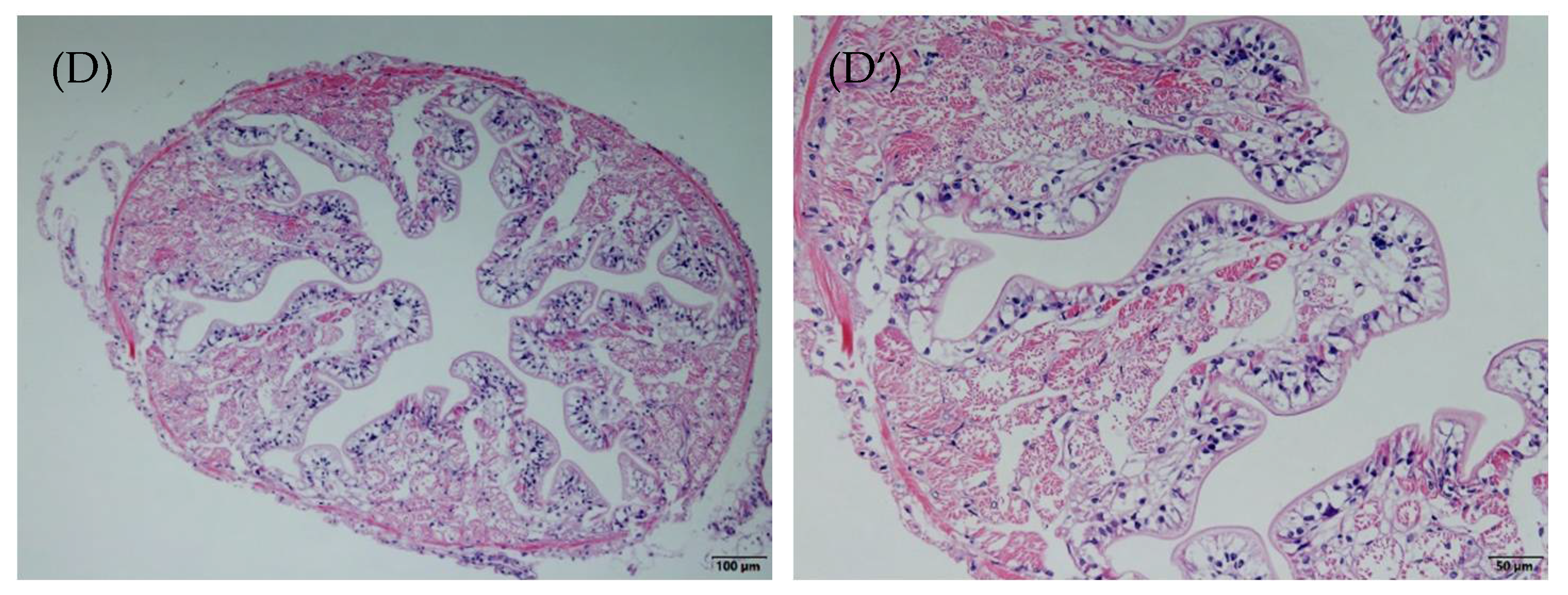 Animals 11 01963 g001b 550