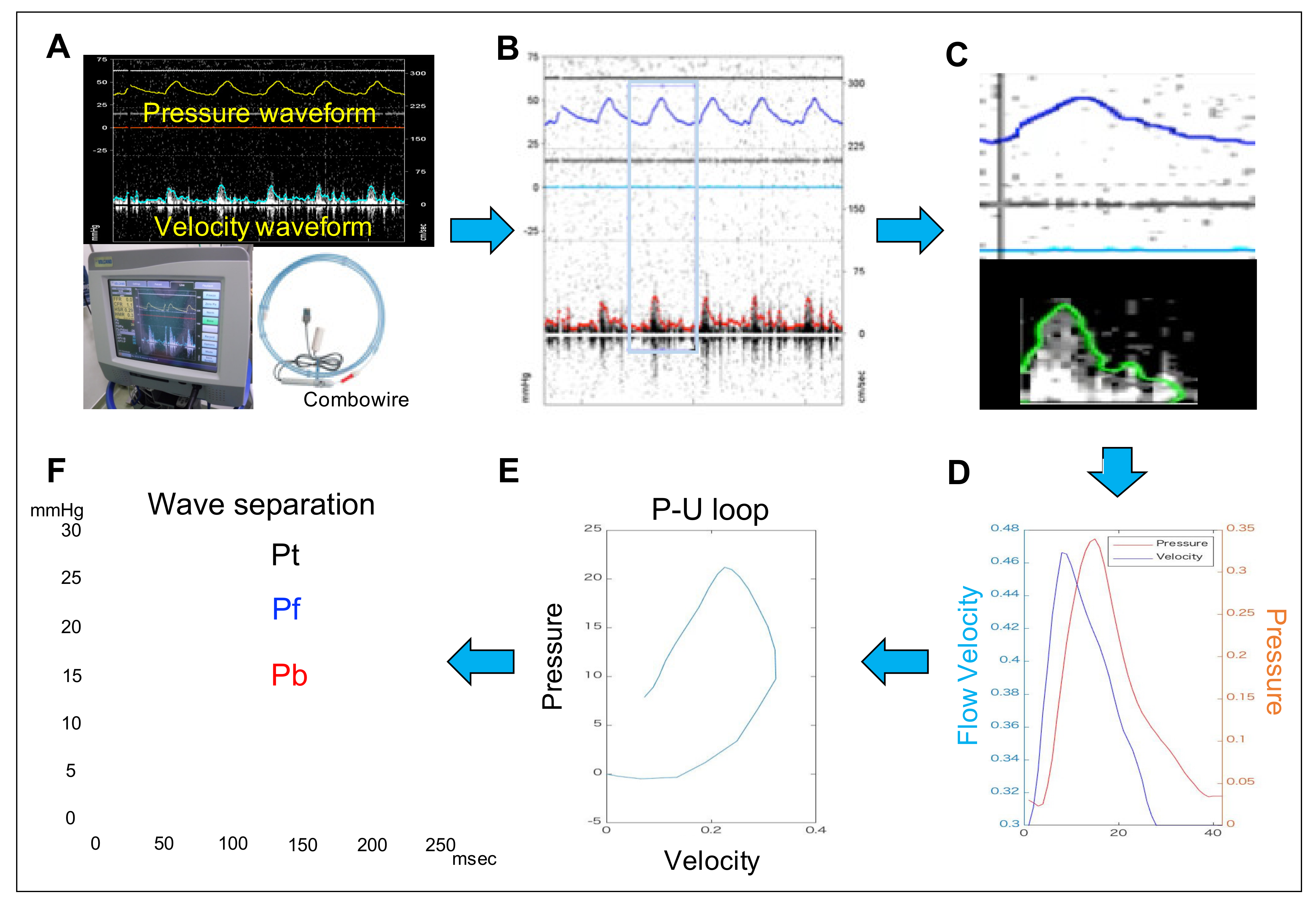 Animals 11 01977 g002