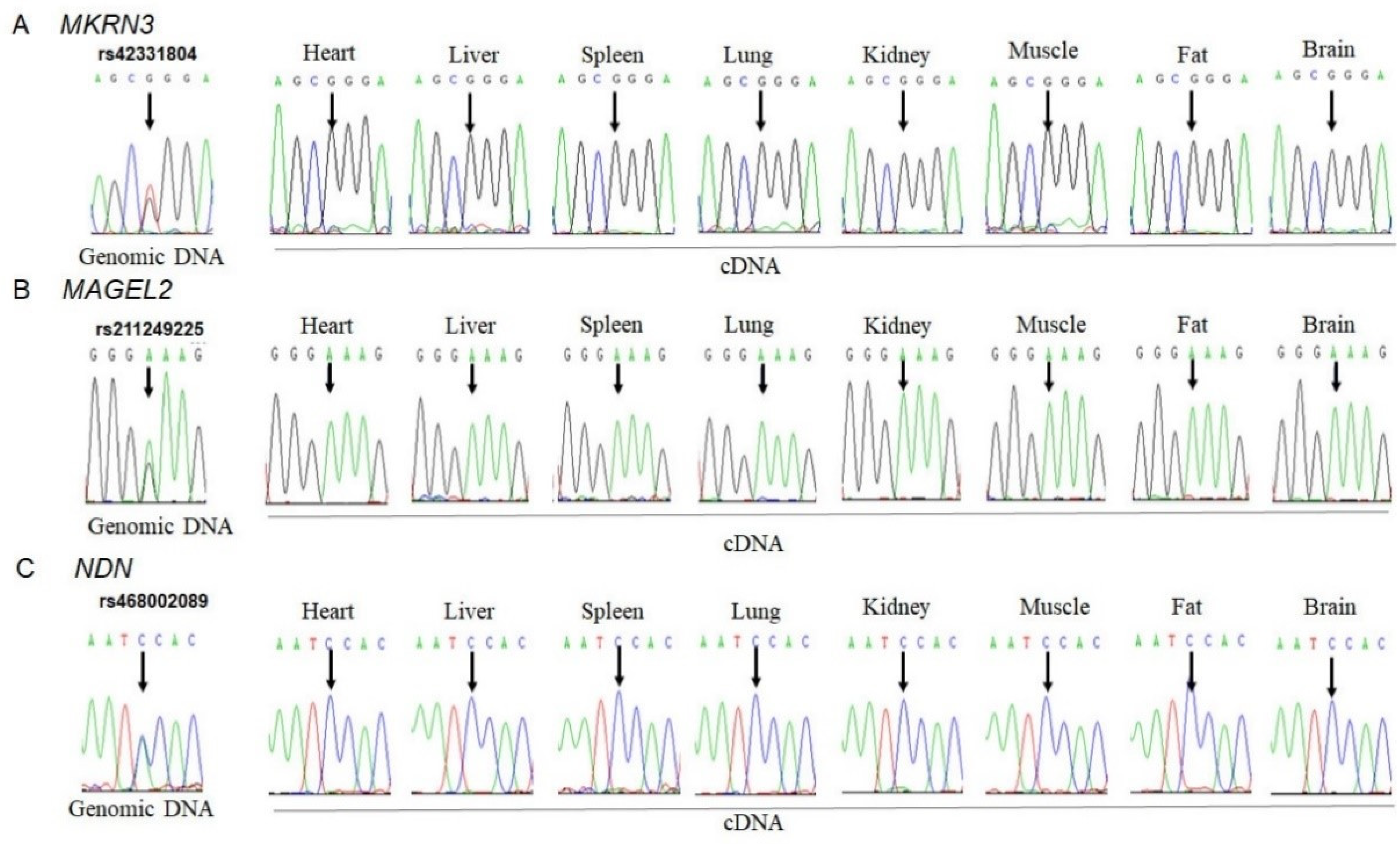 Animals 11 01985 g001