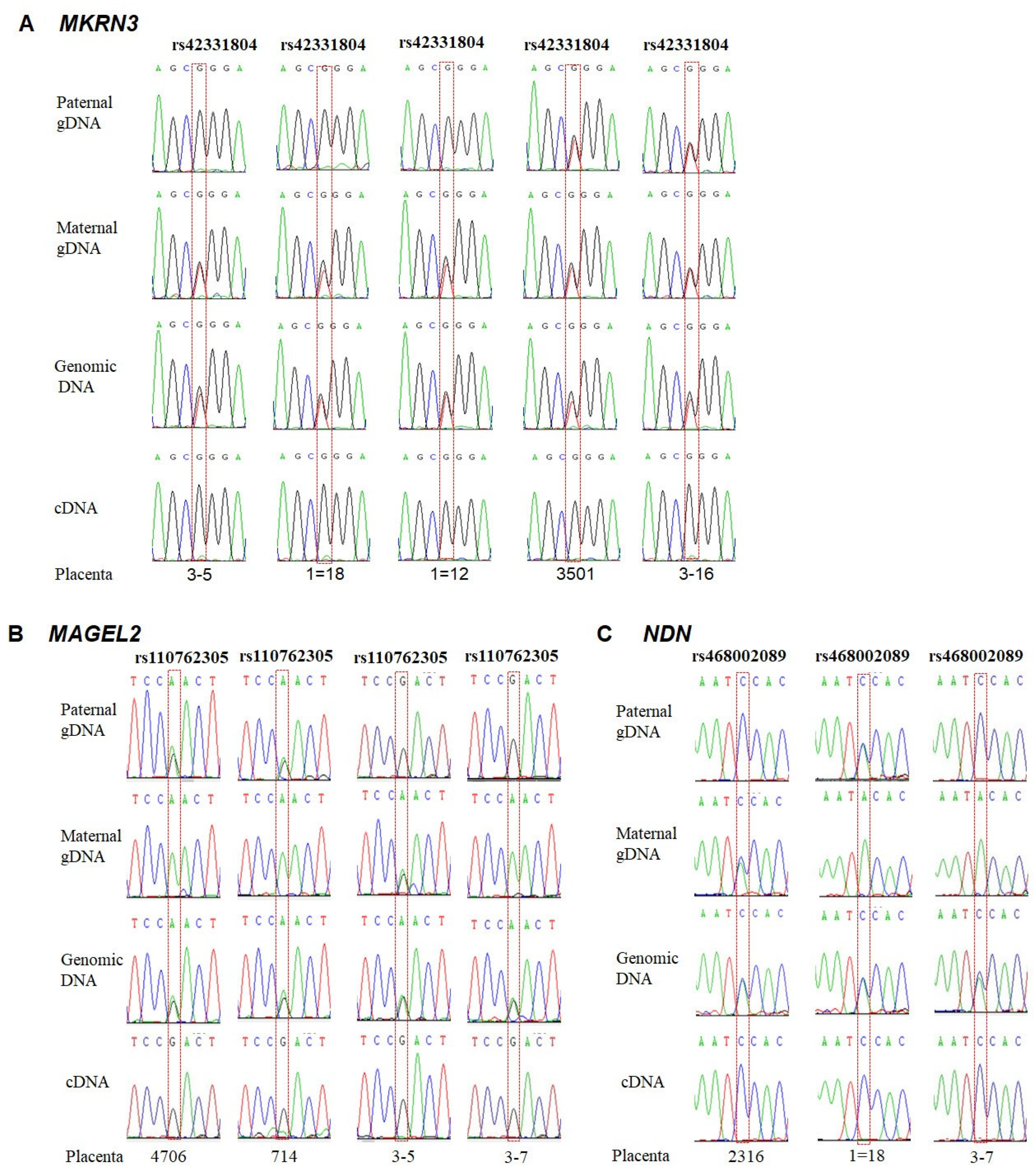 Animals 11 01985 g002