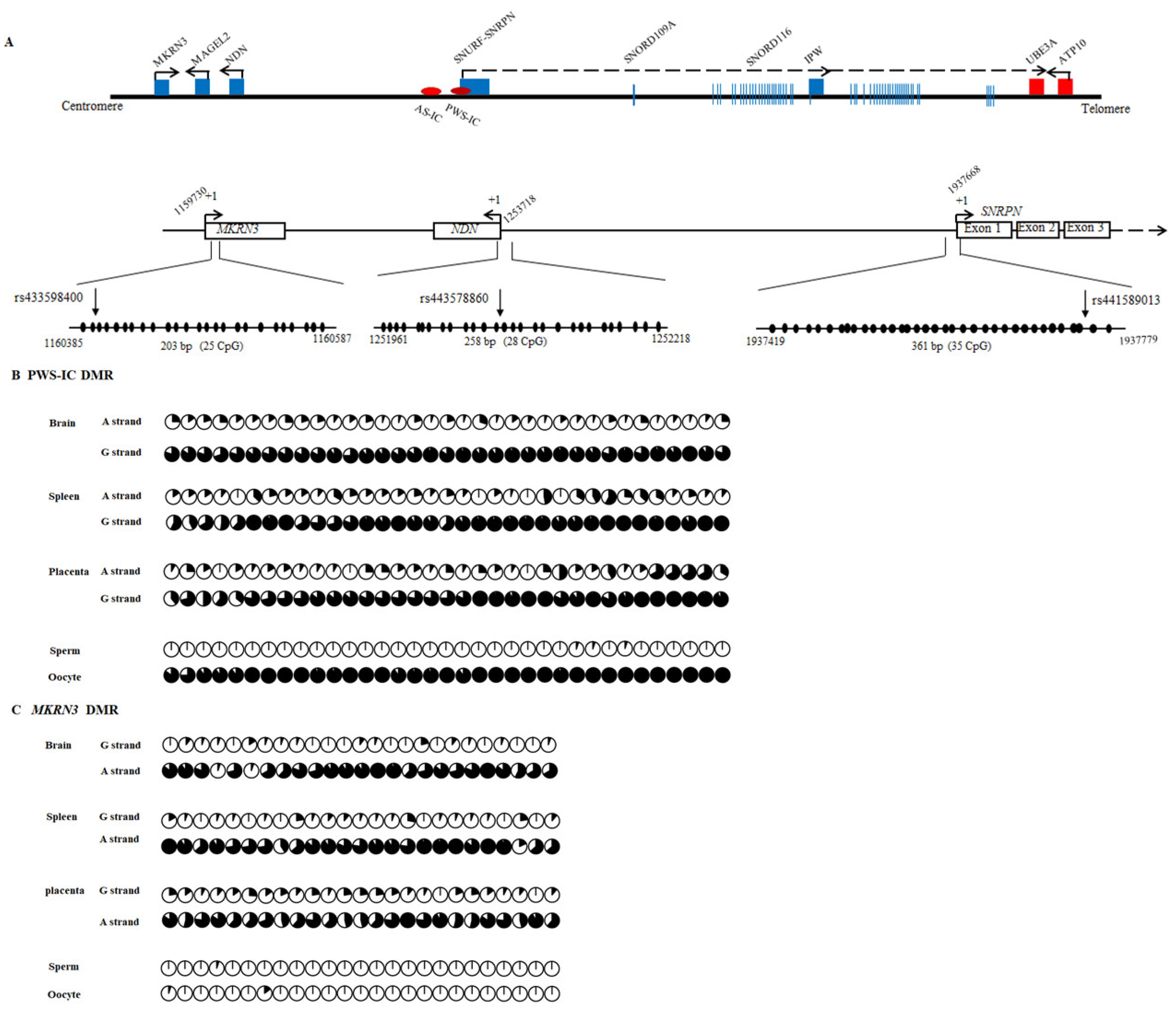 Animals 11 01985 g003a