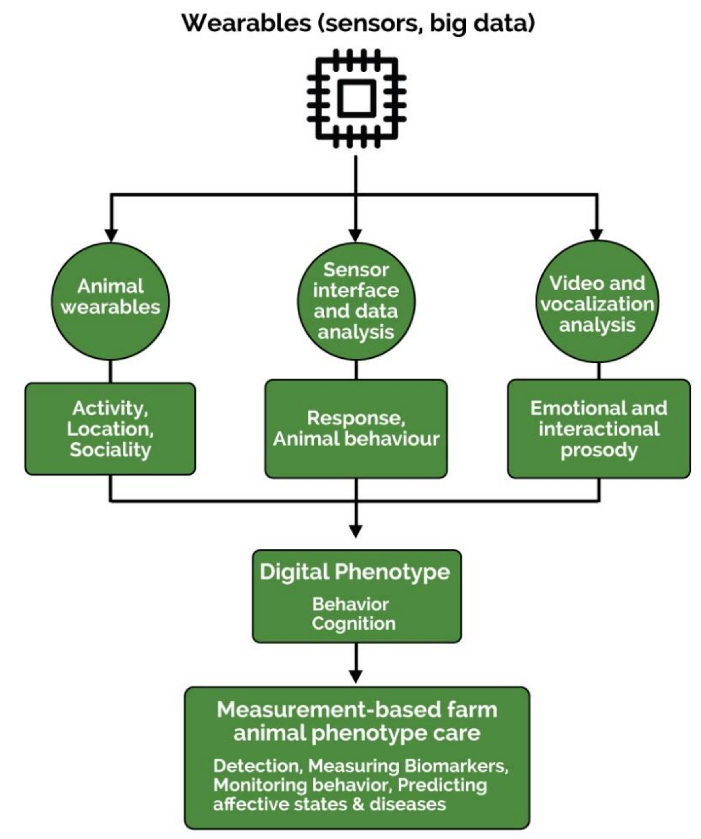 Animals 11 02009 g003 550