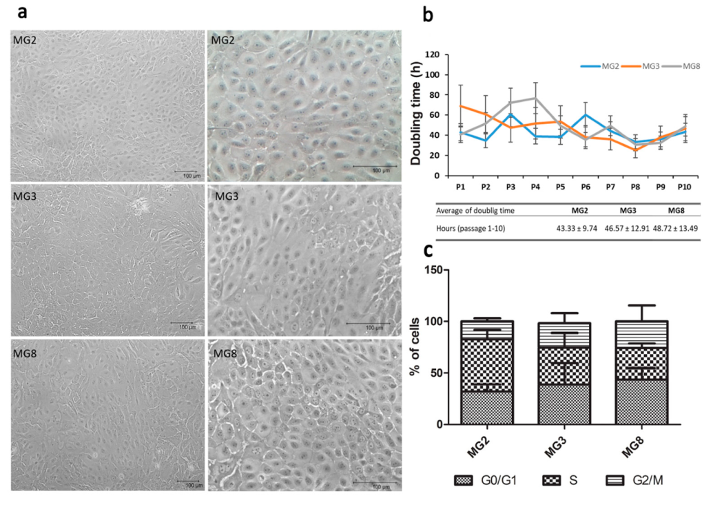 Animals 11 02012 g002 Animals 11 02012 g002