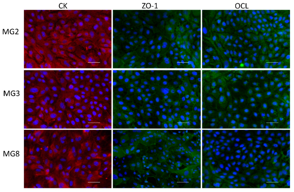 Animals 11 02012 g003 Animals 11 02012 g003