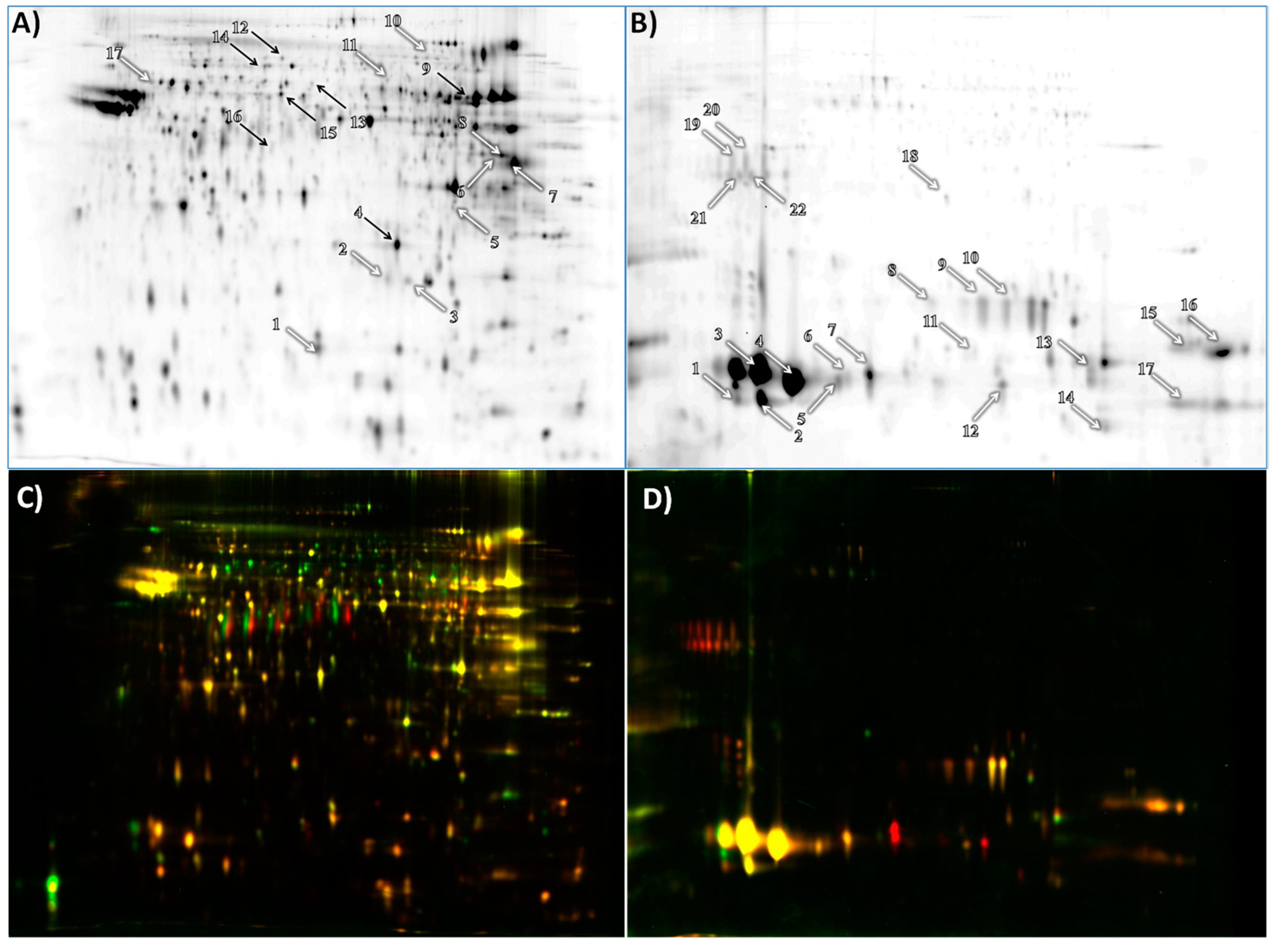 Animals 11 02013 g001 Animals 11 02013 g001