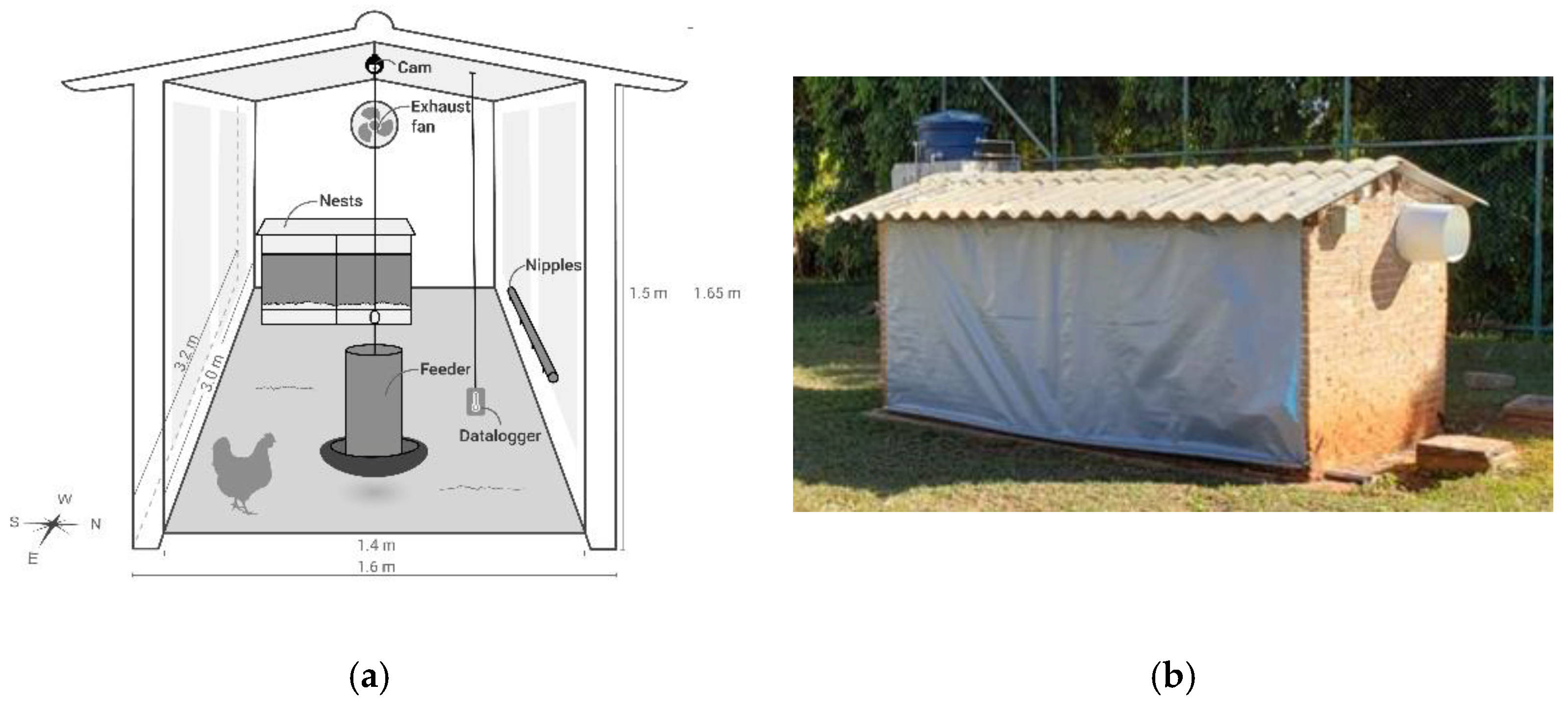 Animals 11 02017 g001 Animals 11 02017 g001