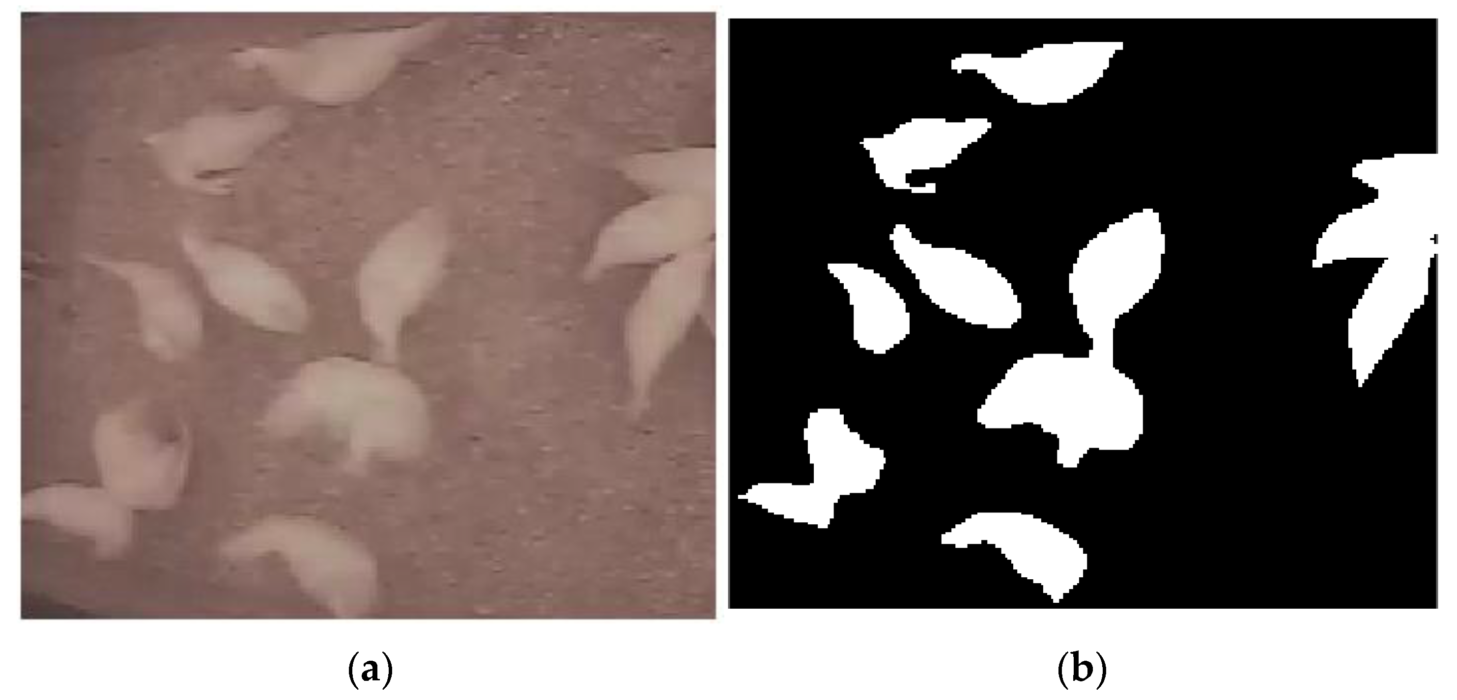 Animals 11 02017 g003 Animals 11 02017 g003