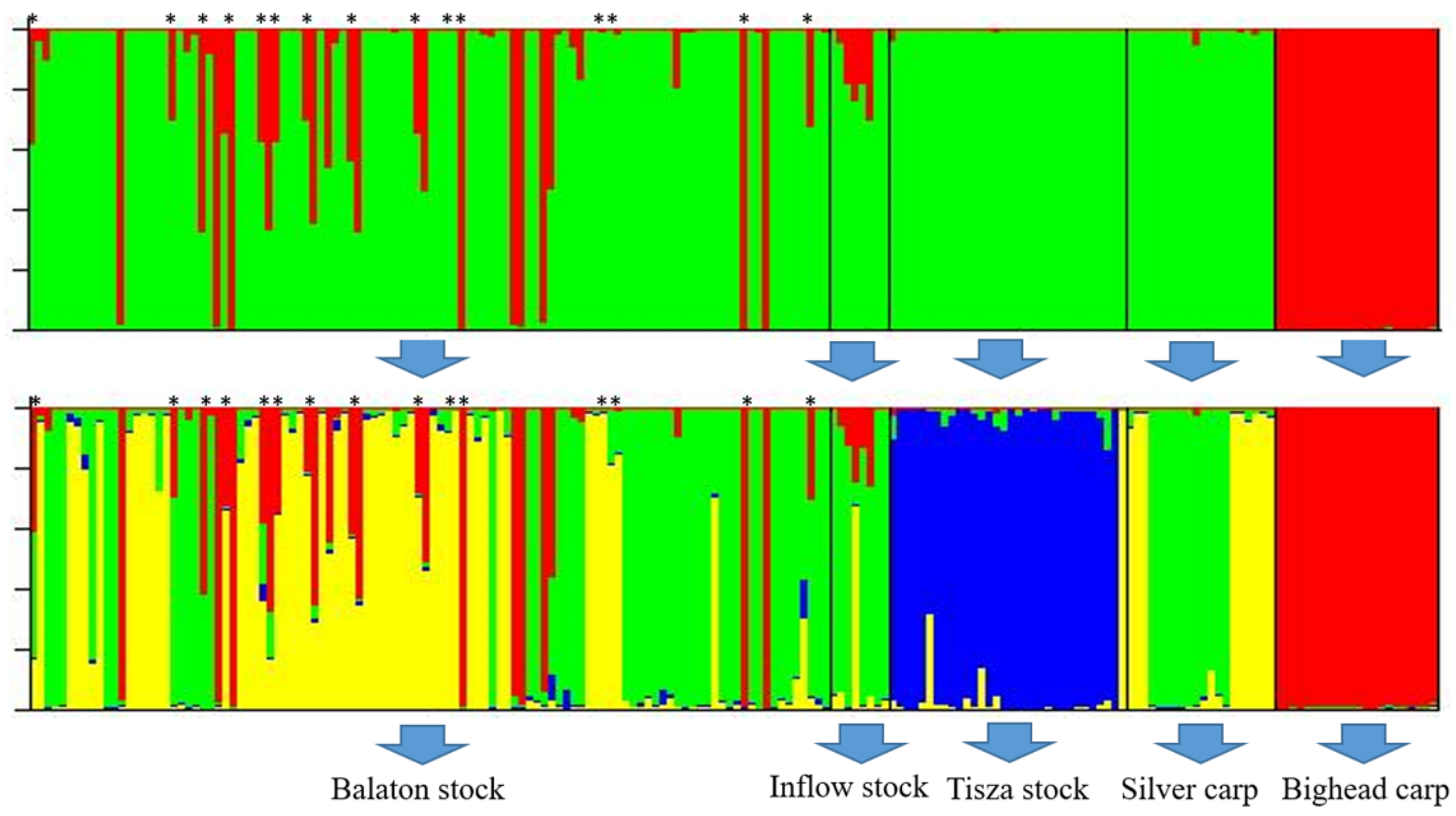 Animals 11 02018 g002 550