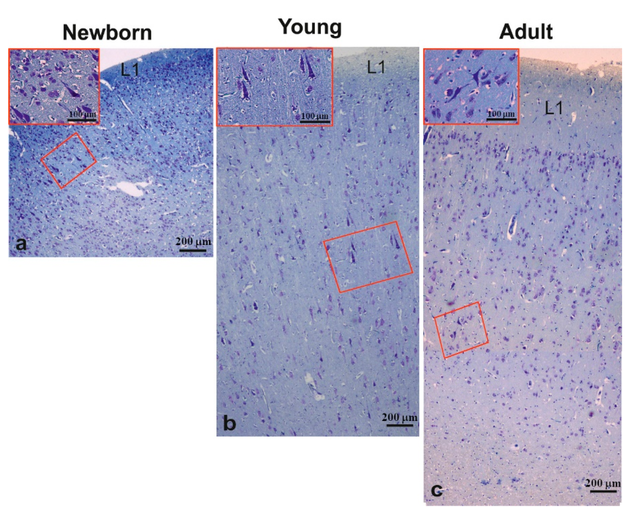 Animals 11 02019 g003 Animals 11 02019 g003