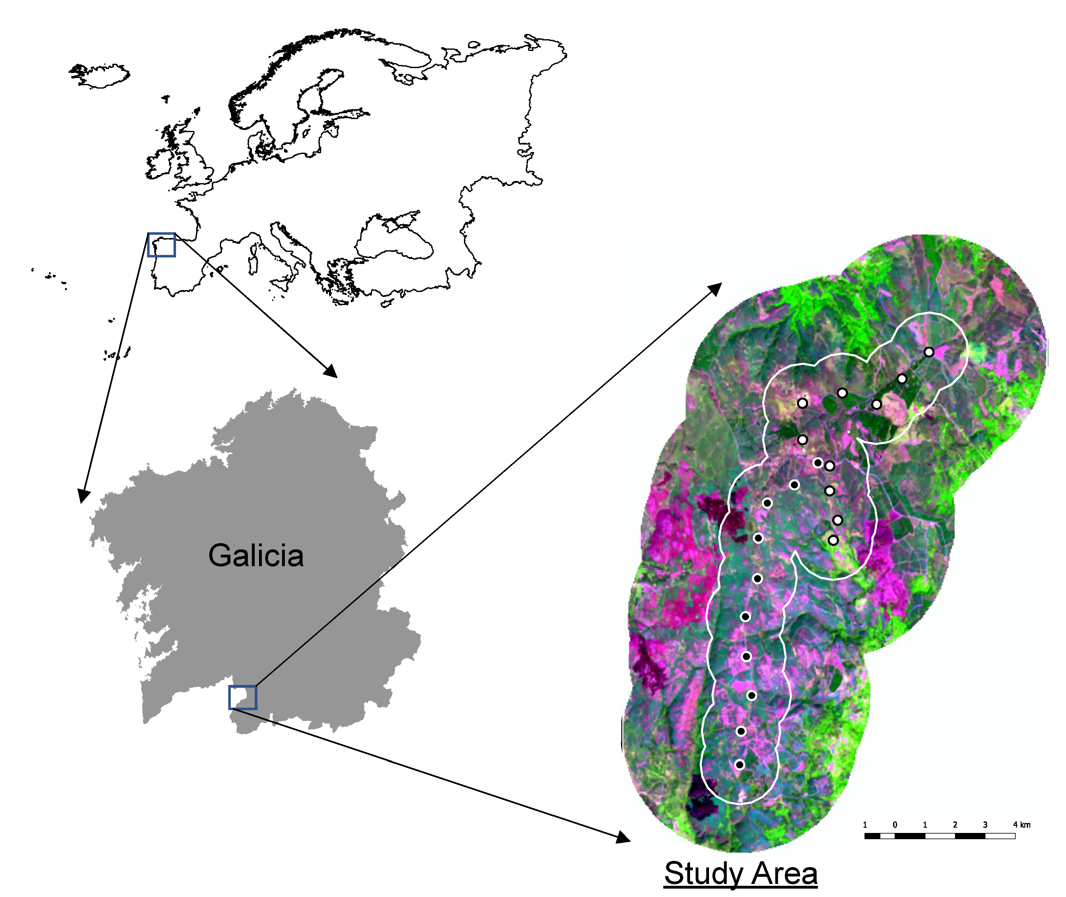 Animals Free Full Text Caution Is Needed When Using Niche Models To Infer Changes In Species Abundance The Case Of Two Sympatric Raptor Populations Html