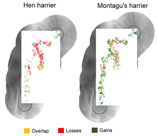 Animals Free Full Text Caution Is Needed When Using Niche Models To Infer Changes In Species Abundance The Case Of Two Sympatric Raptor Populations Html Animals Free Full Text Caution Is Needed When Using Niche Models To Infer Changes In Species Abundance The Case Of Two Sympatric Raptor Populations Html