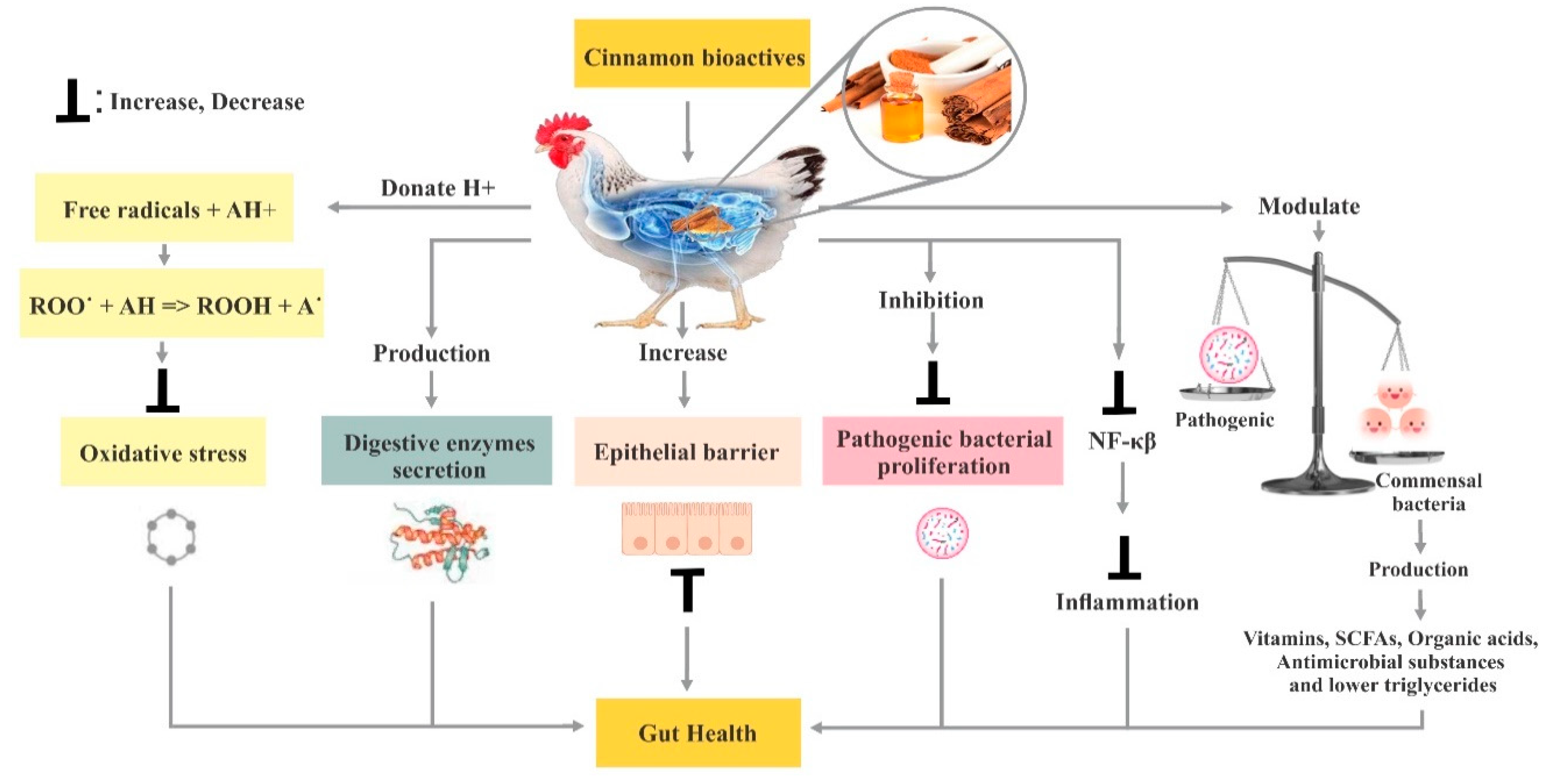 Animals | Free Full-Text | Cinnamon: A Natural Feed Additive for Poultry Health and Production—A Review Animals | Free Full-Text | Cinnamon: A Natural Feed Additive for Poultry Health and Production—A Review