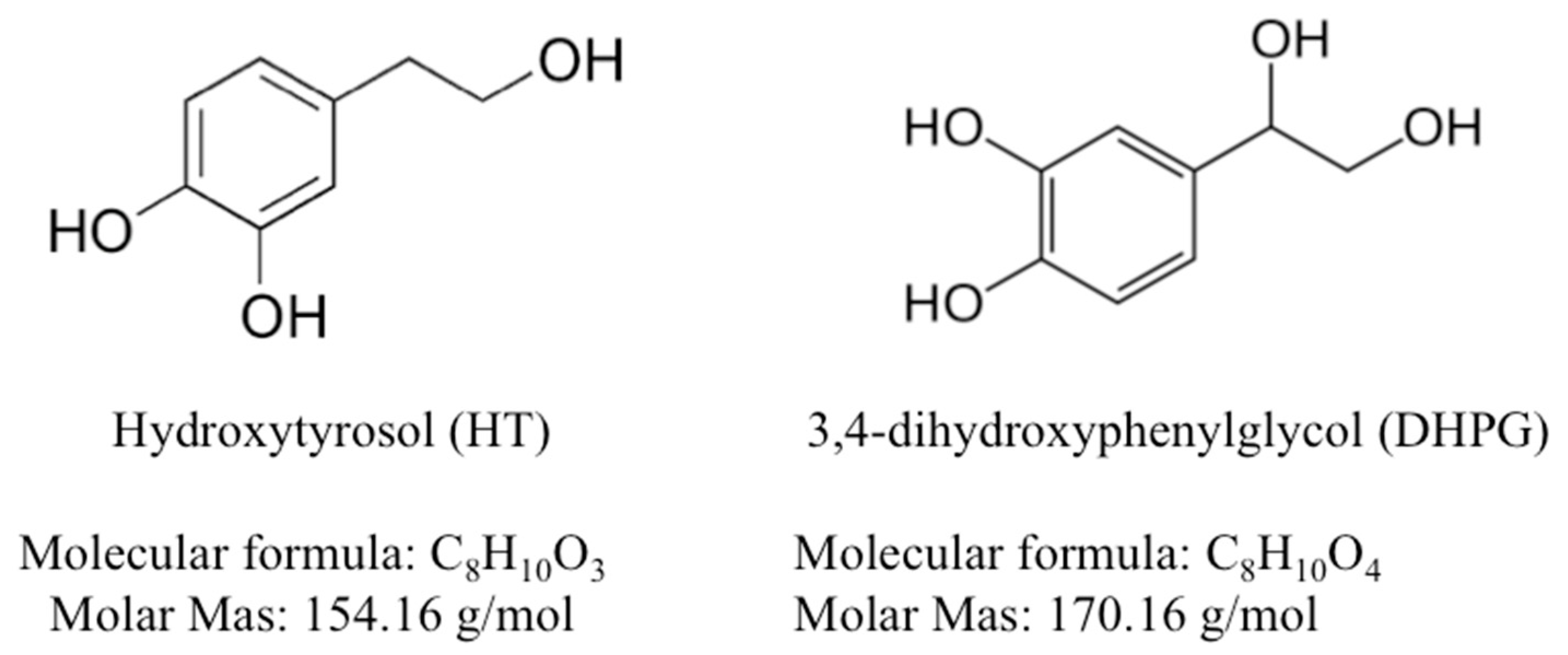 Animals 11 02032 g001