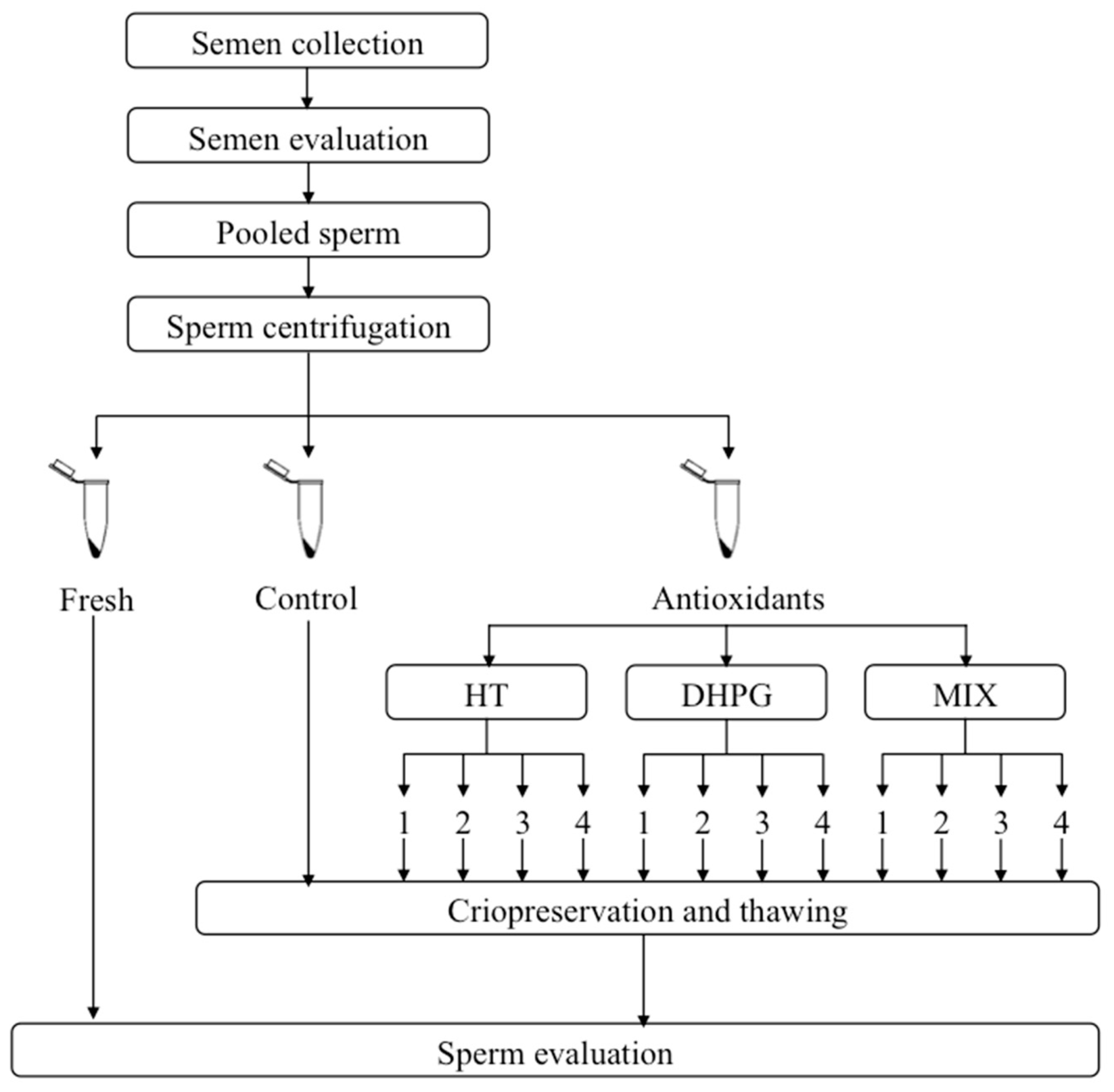 Animals 11 02032 g002