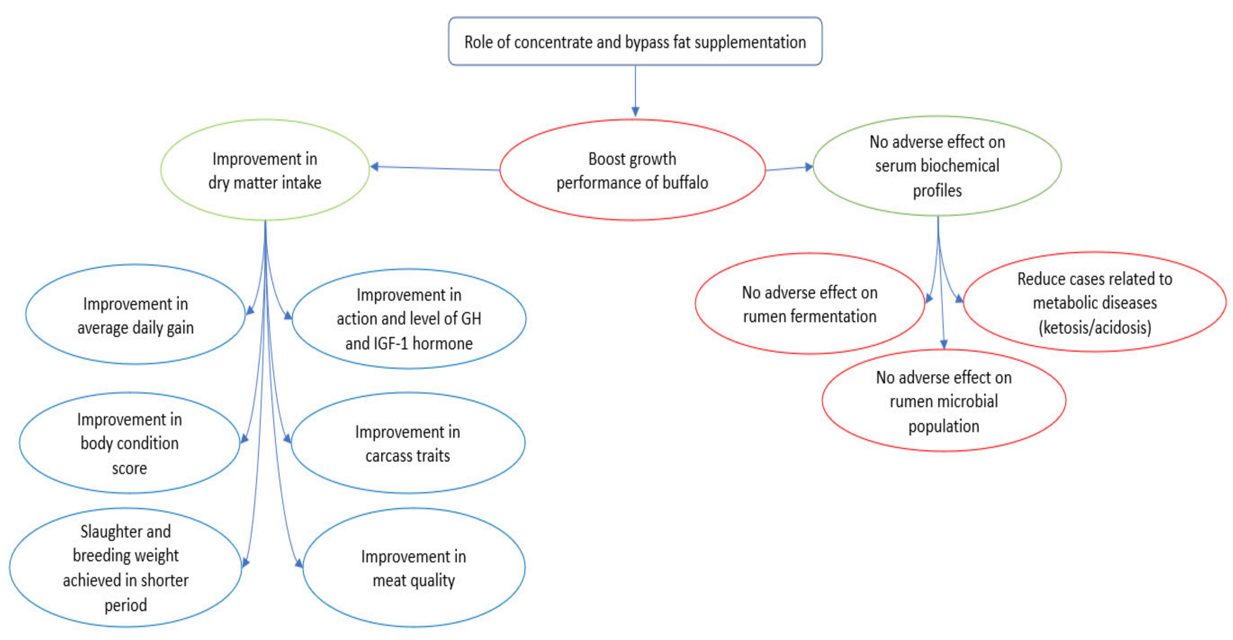 Animals 11 02033 g003 Animals 11 02033 g003