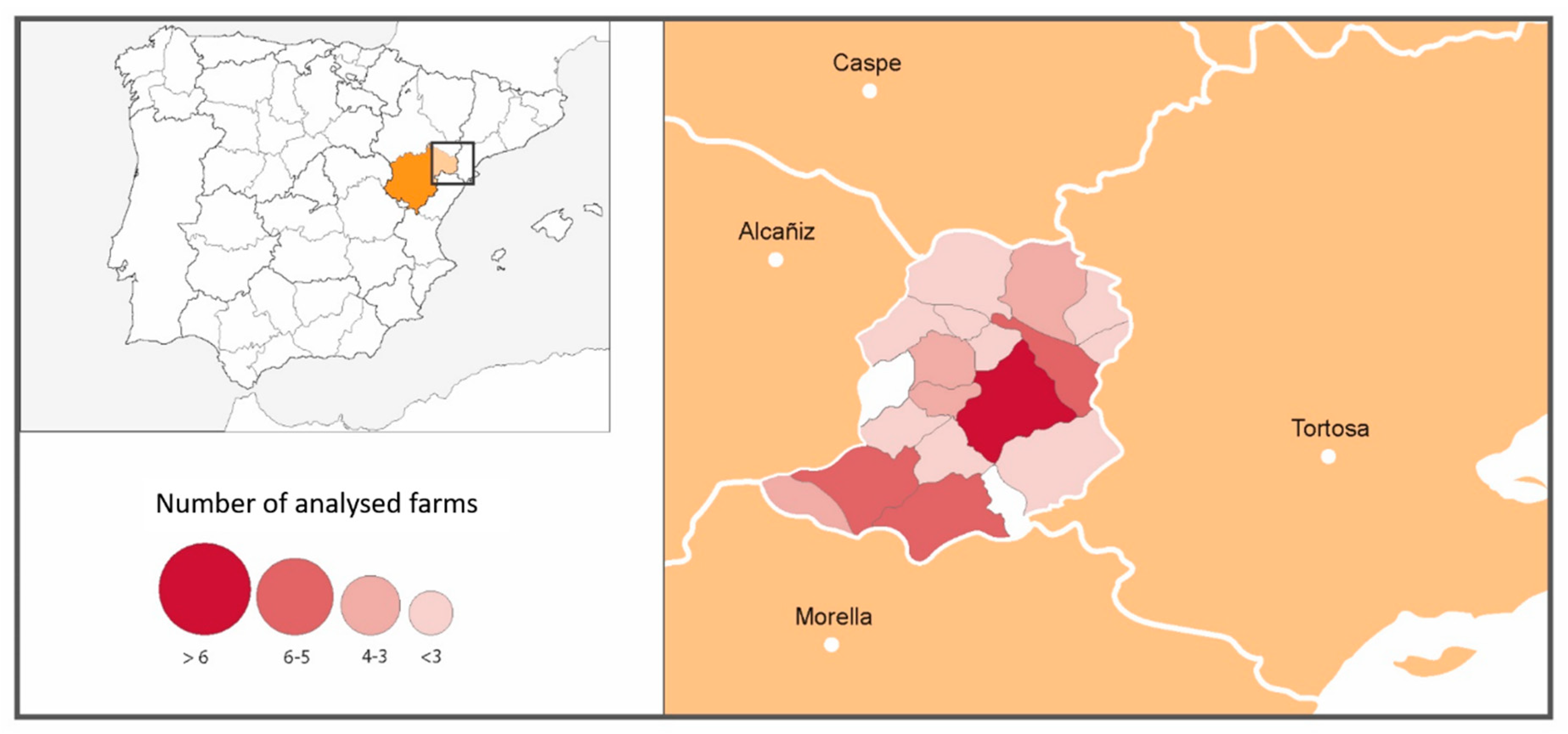 Animals 11 02036 g001