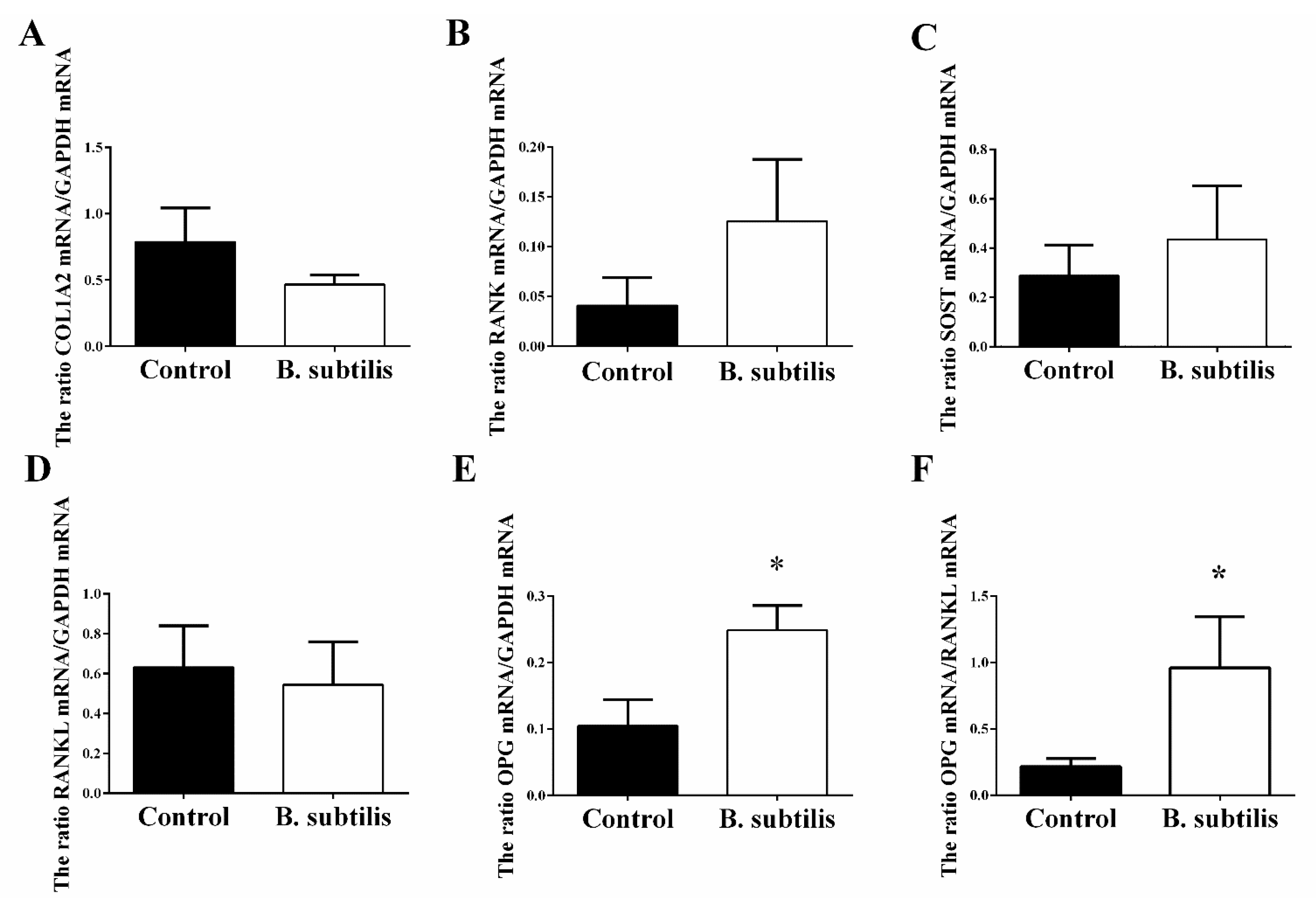 Animals 11 02041 g003