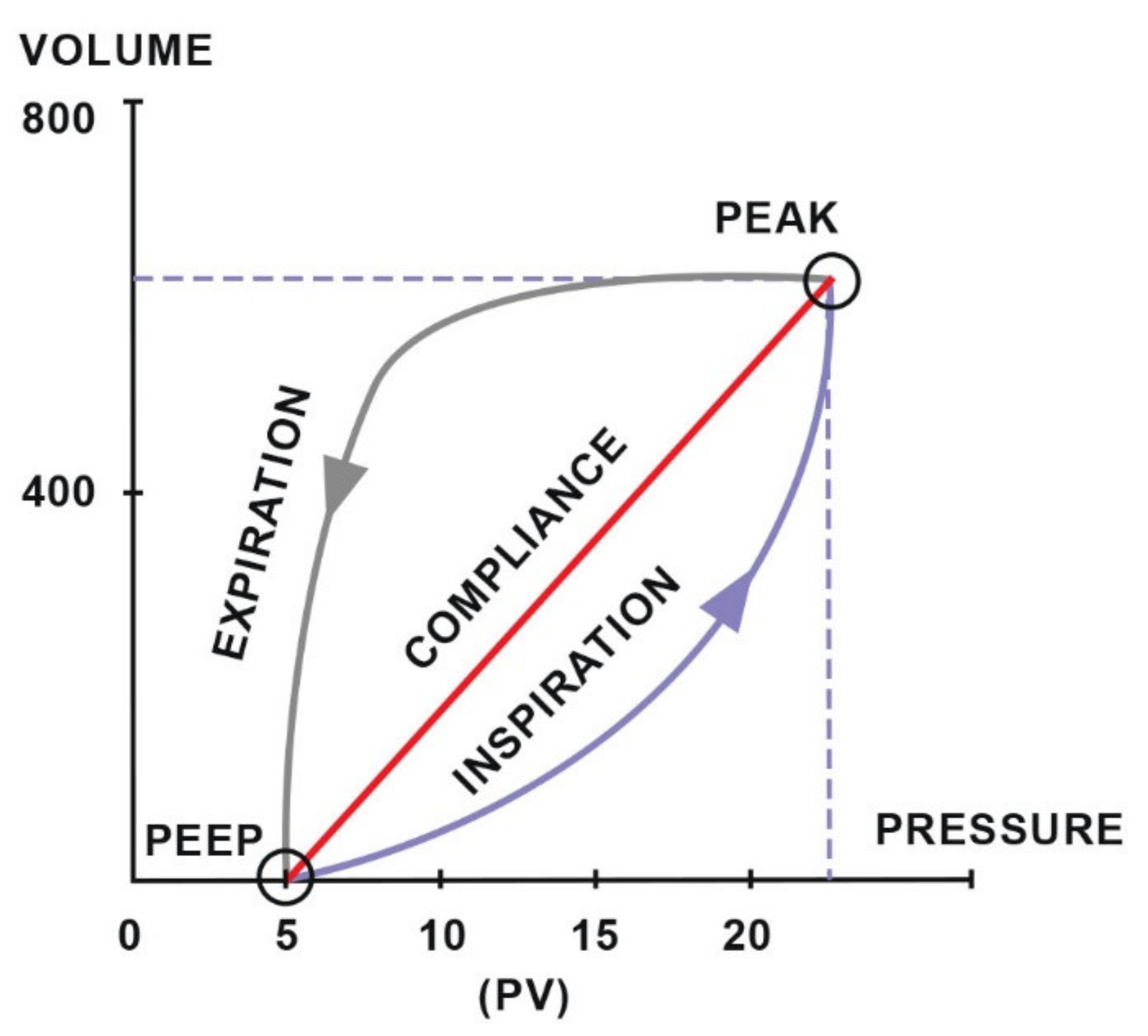 Animals 11 02049 g005 Animals 11 02049 g005