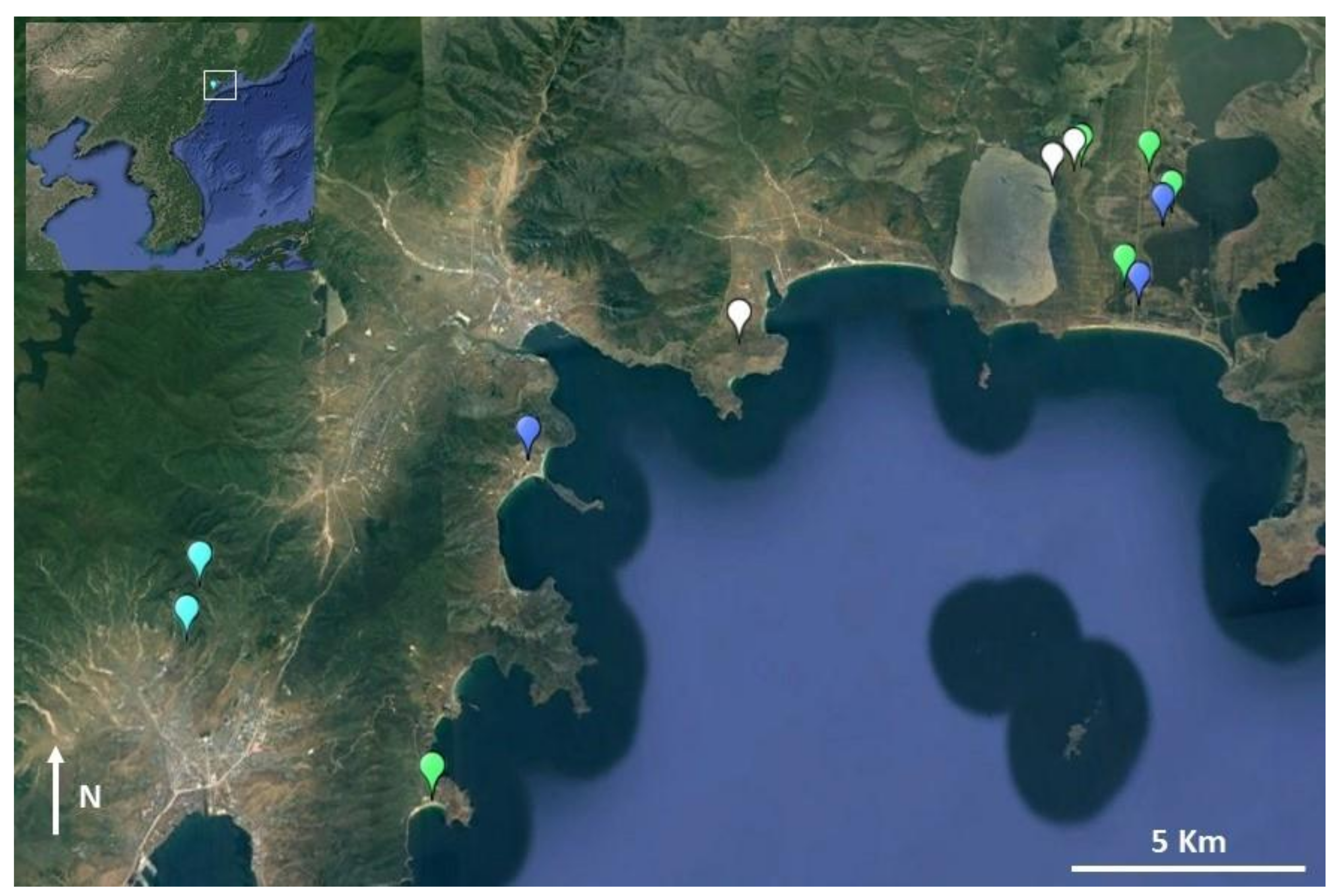 Animals 11 02057 g006