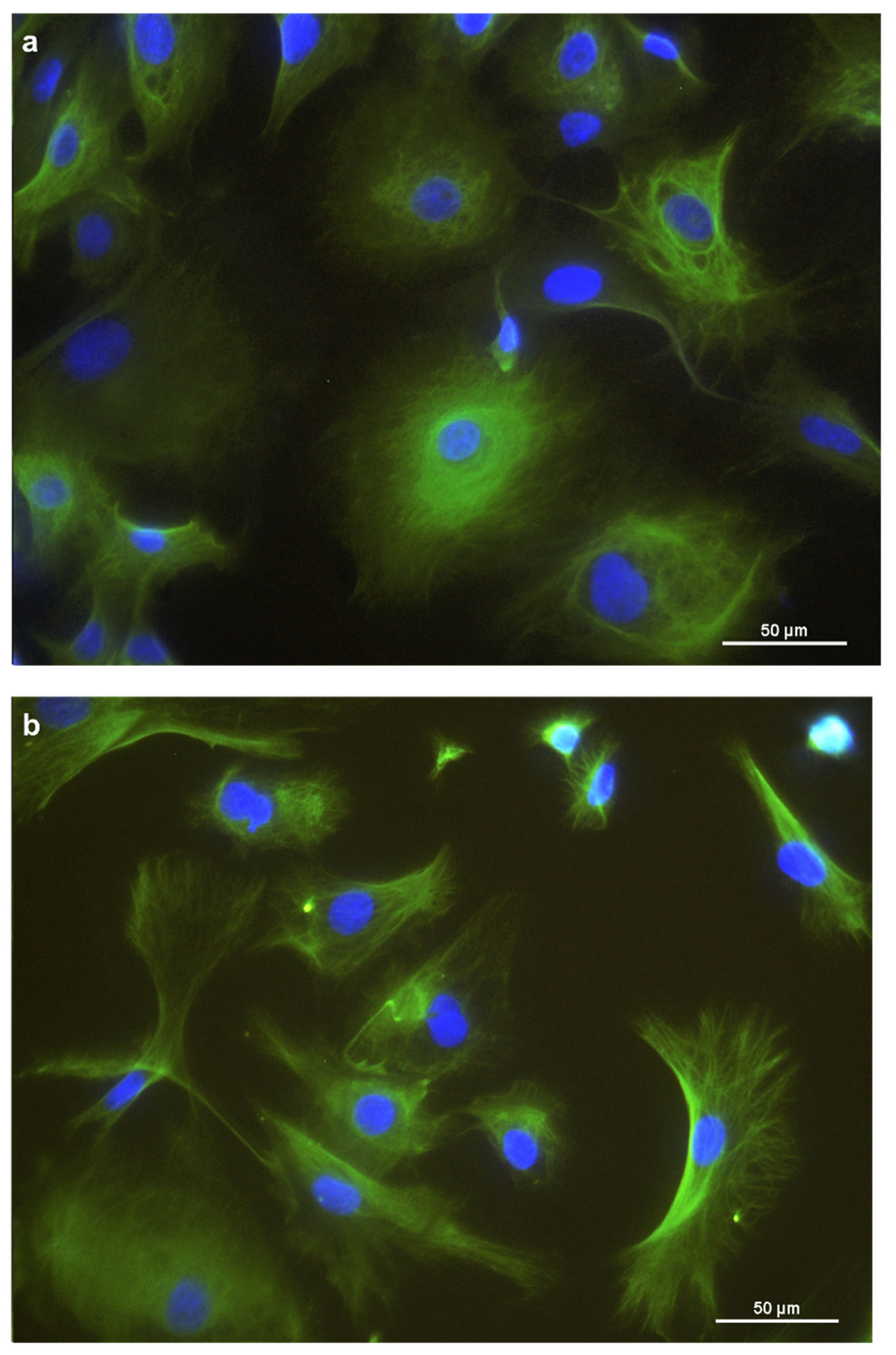 Animals 11 02058 g002a