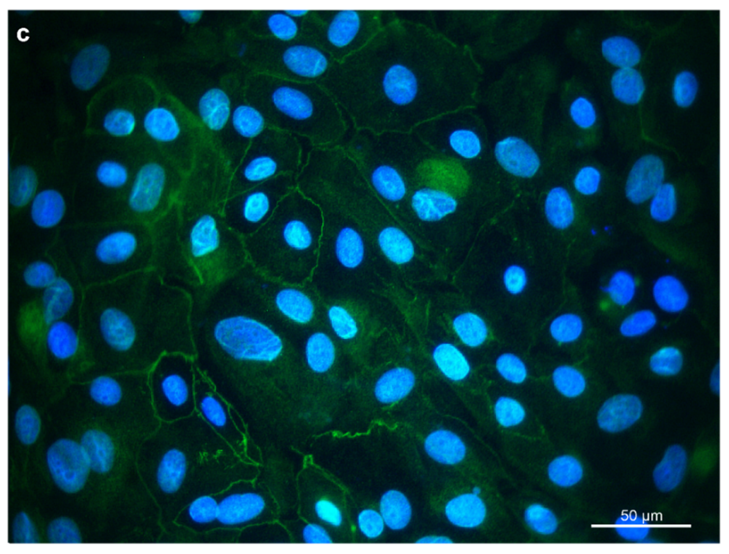 Animals 11 02058 g002b