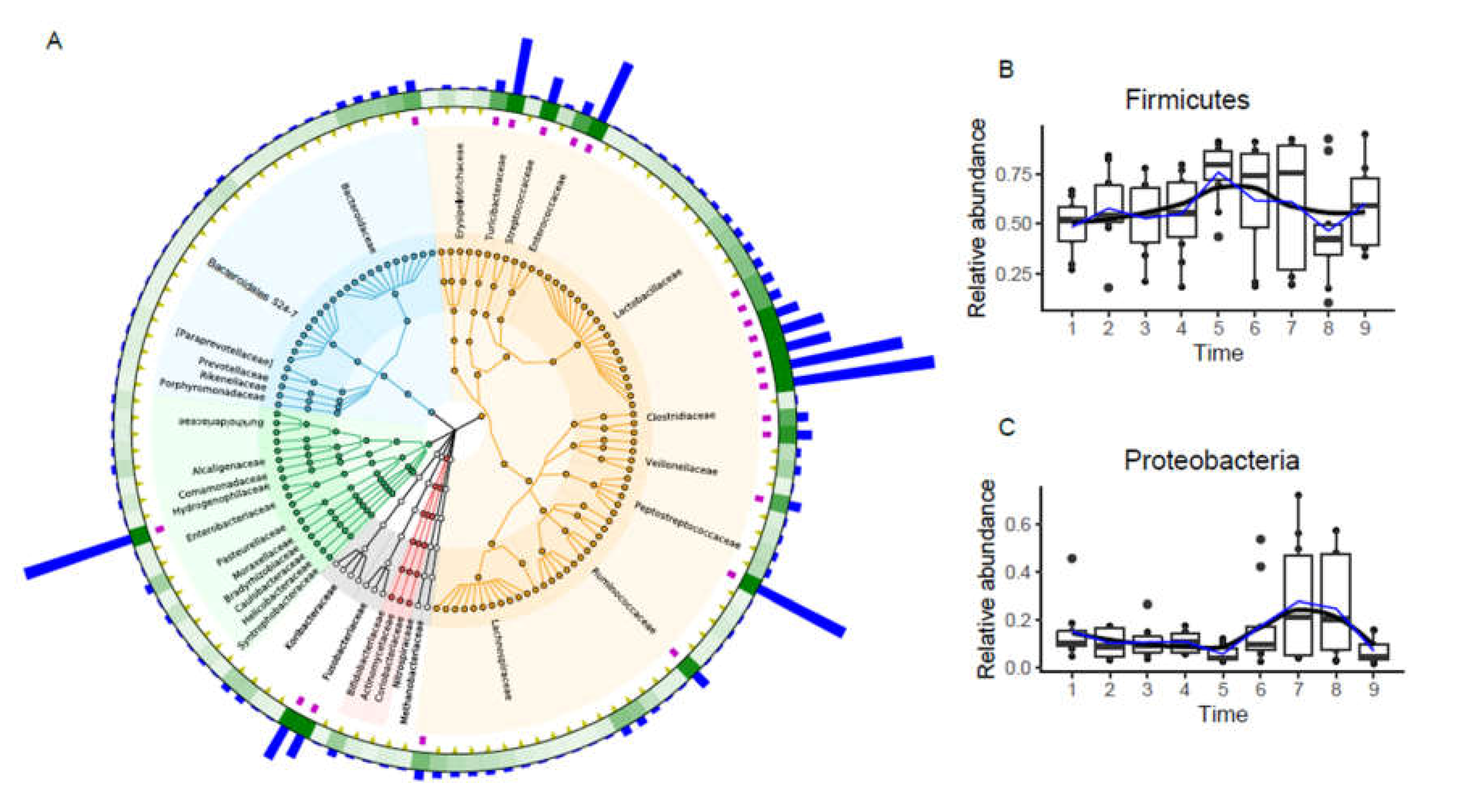 Animals 11 02065 g002 550