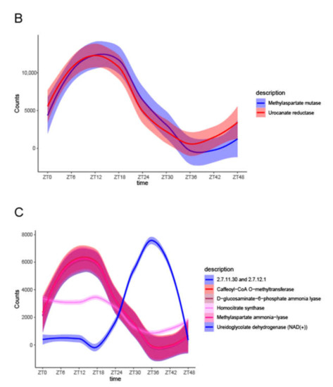ジェル Absence of Circadian Rhythm in Fecal Microbiota of Laying