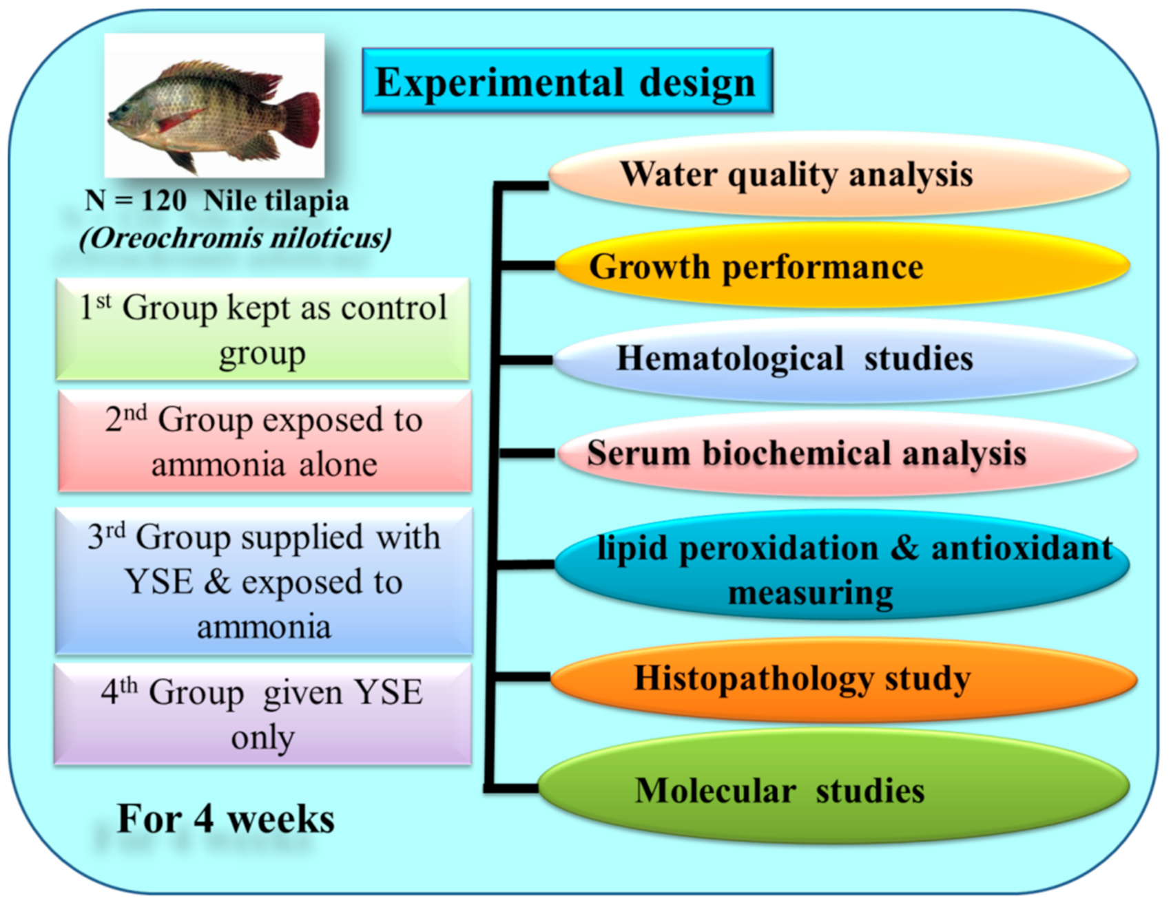 Animals 11 02072 g001 Animals 11 02072 g001