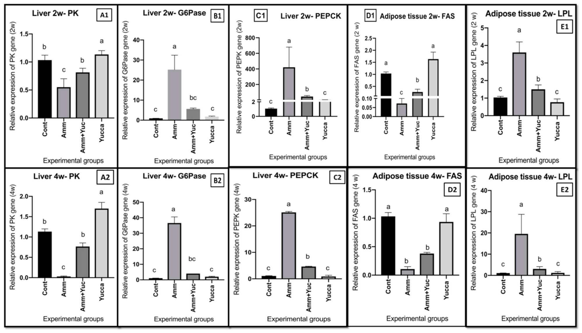 Animals 11 02072 g006 Animals 11 02072 g006