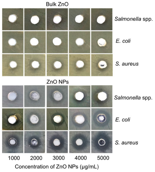 Antibacterial Potential of Biosynthesized Zinc Oxide
