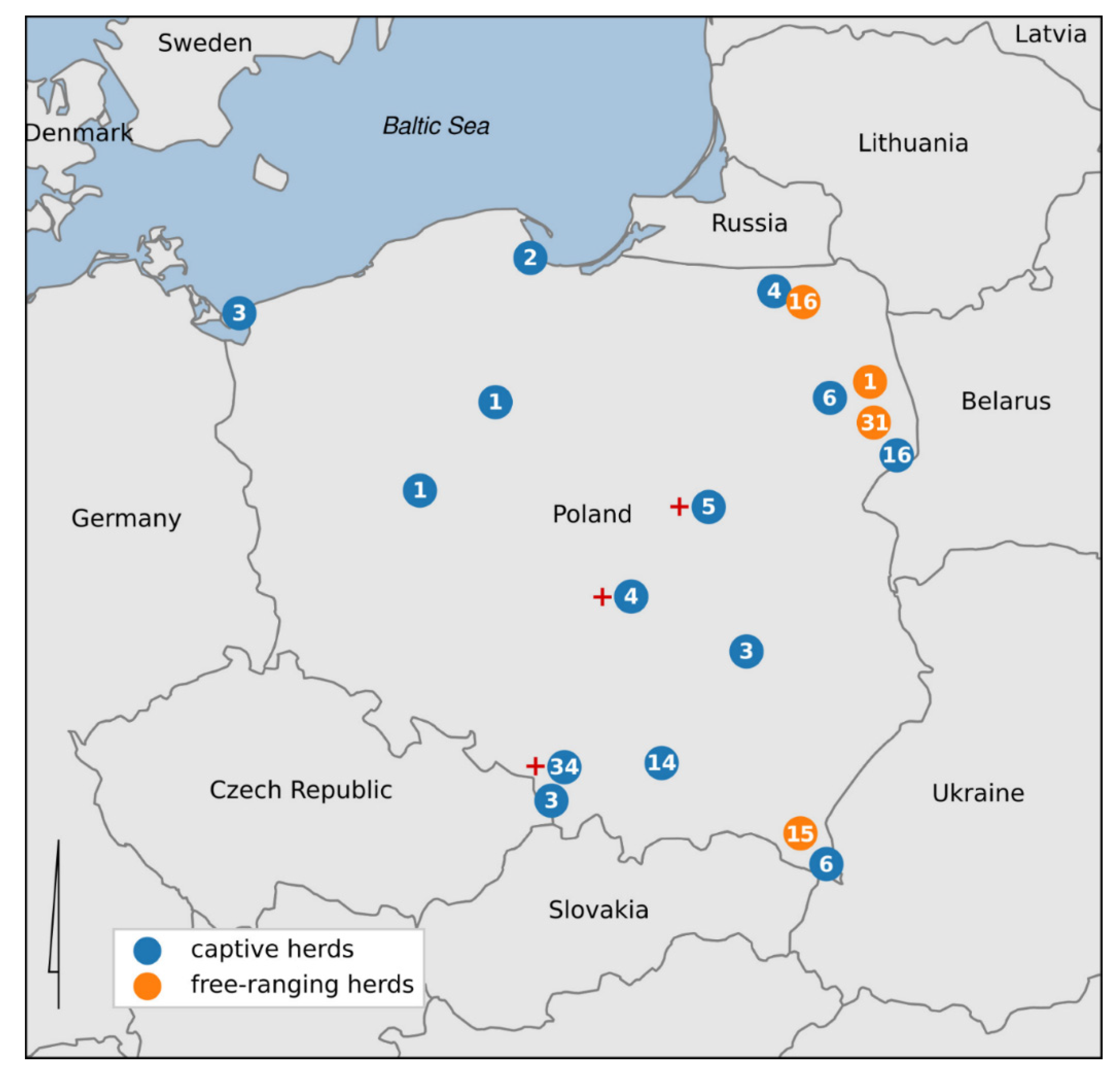 Animals 11 02094 g001 Animals 11 02094 g001