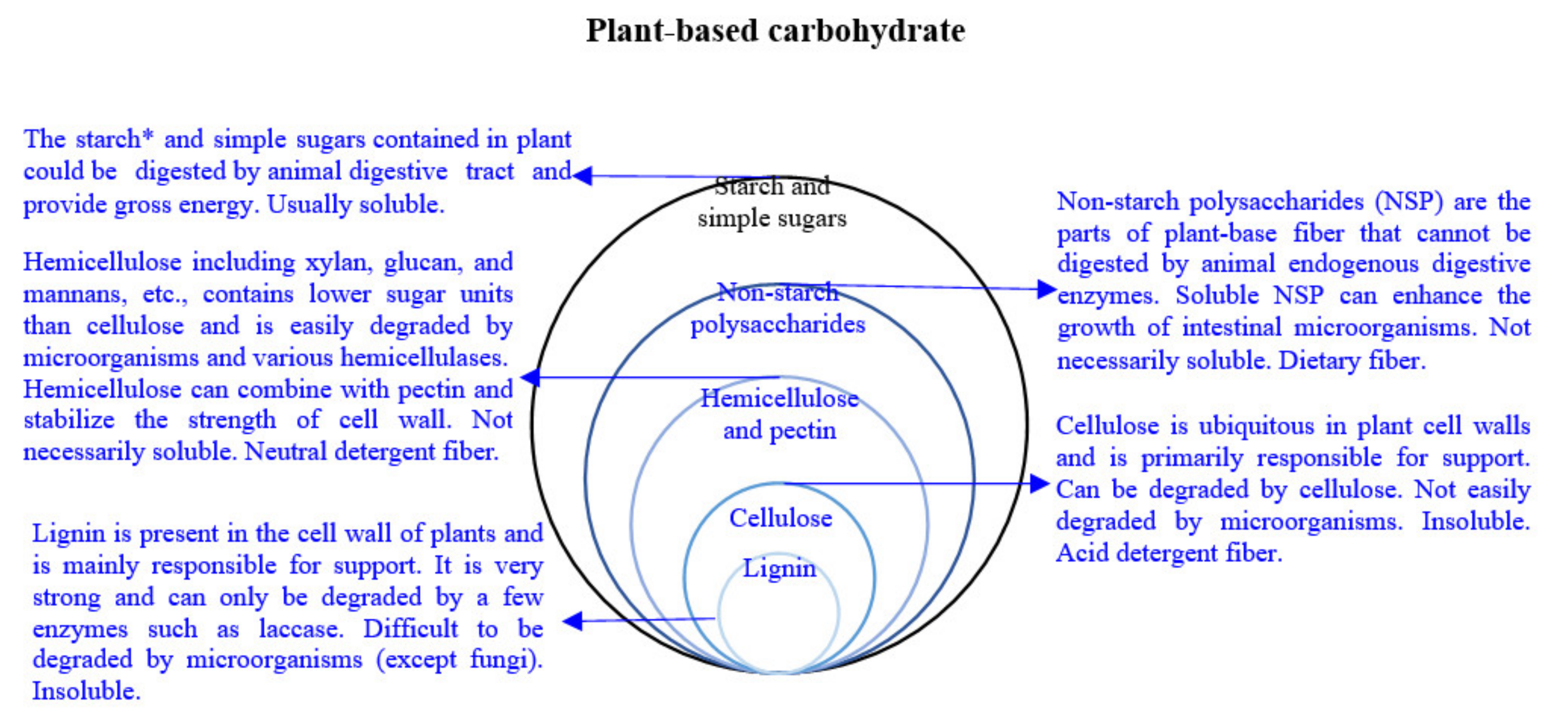 Animals 11 02098 g001