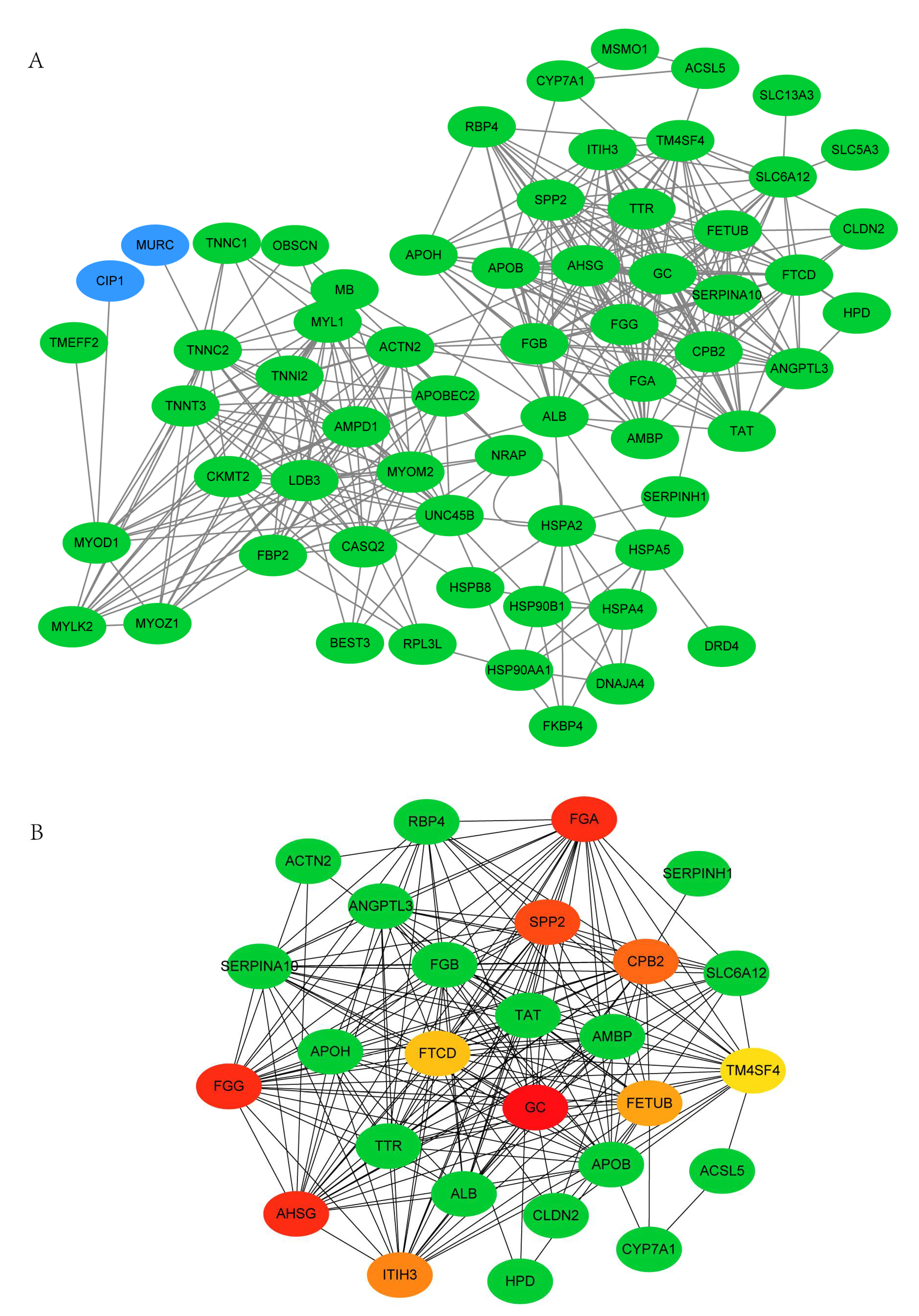 Animals 11 02099 g006 Animals 11 02099 g006