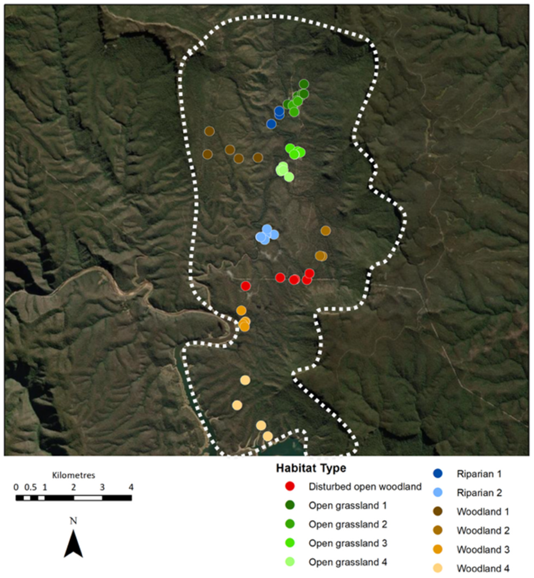 Animals | Free Full-Text | Use of Remote Camera Traps to Evaluate Animal-Based Welfare Indicators in Individual Free-Roaming Wild Horses Animals | Free Full-Text | Use of Remote Camera Traps to Evaluate Animal-Based Welfare Indicators in Individual Free-Roaming Wild Horses