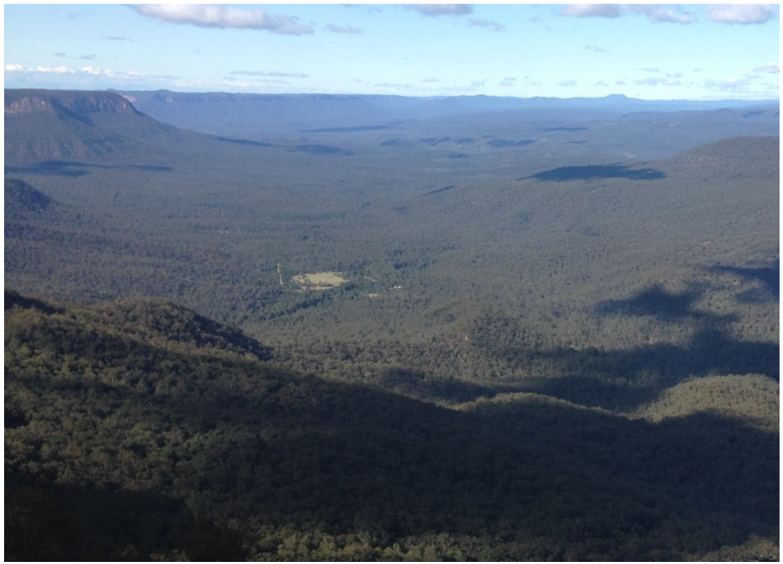 Animals 11 02101 g002