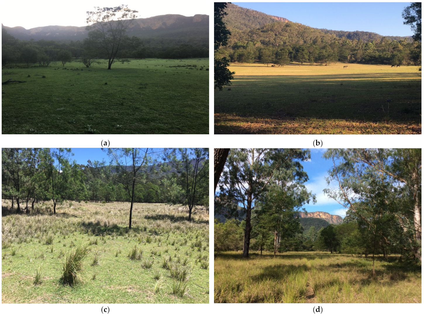 Animals 11 02101 g003a