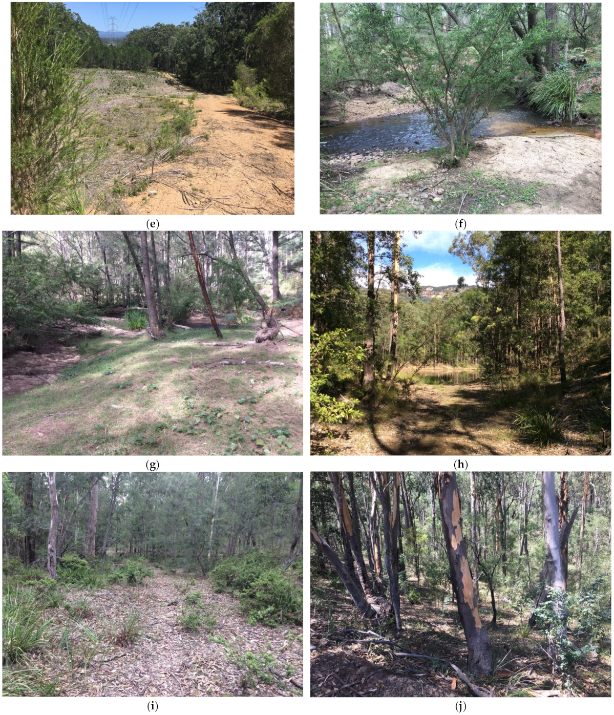 Animals 11 02101 g003b