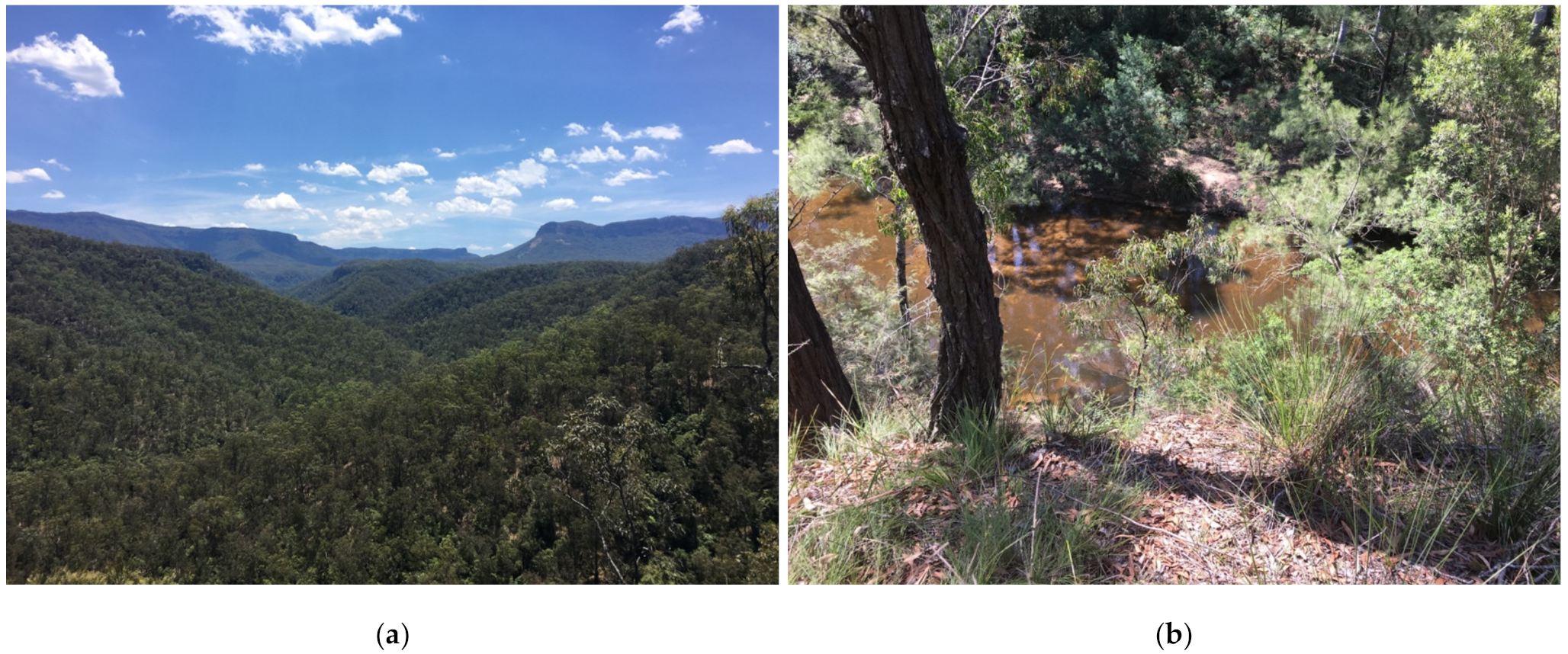 Animals 11 02101 g004