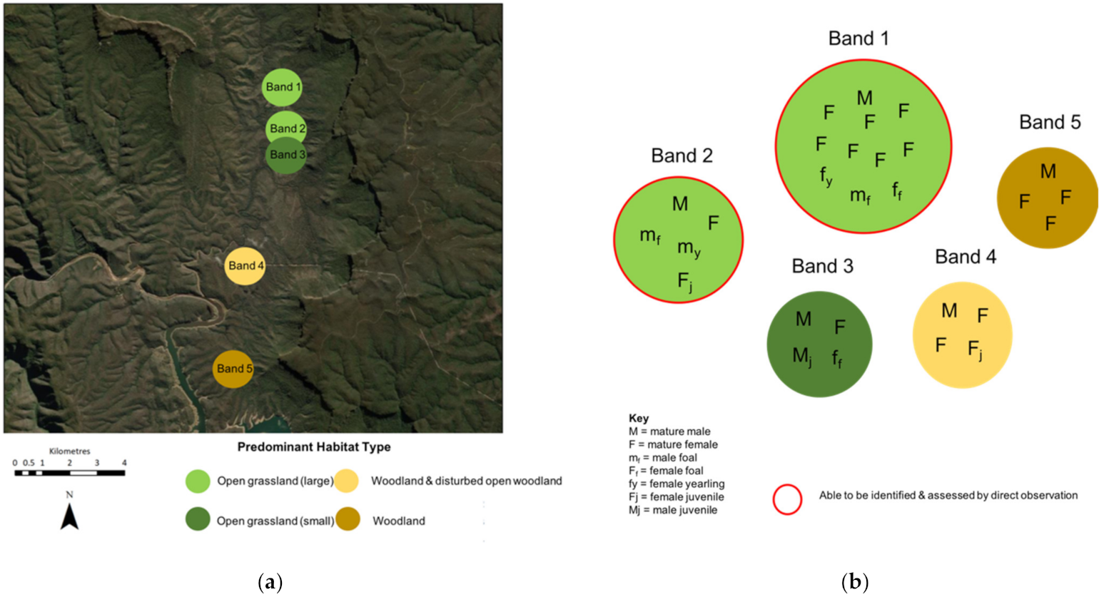 Animals 11 02101 g005
