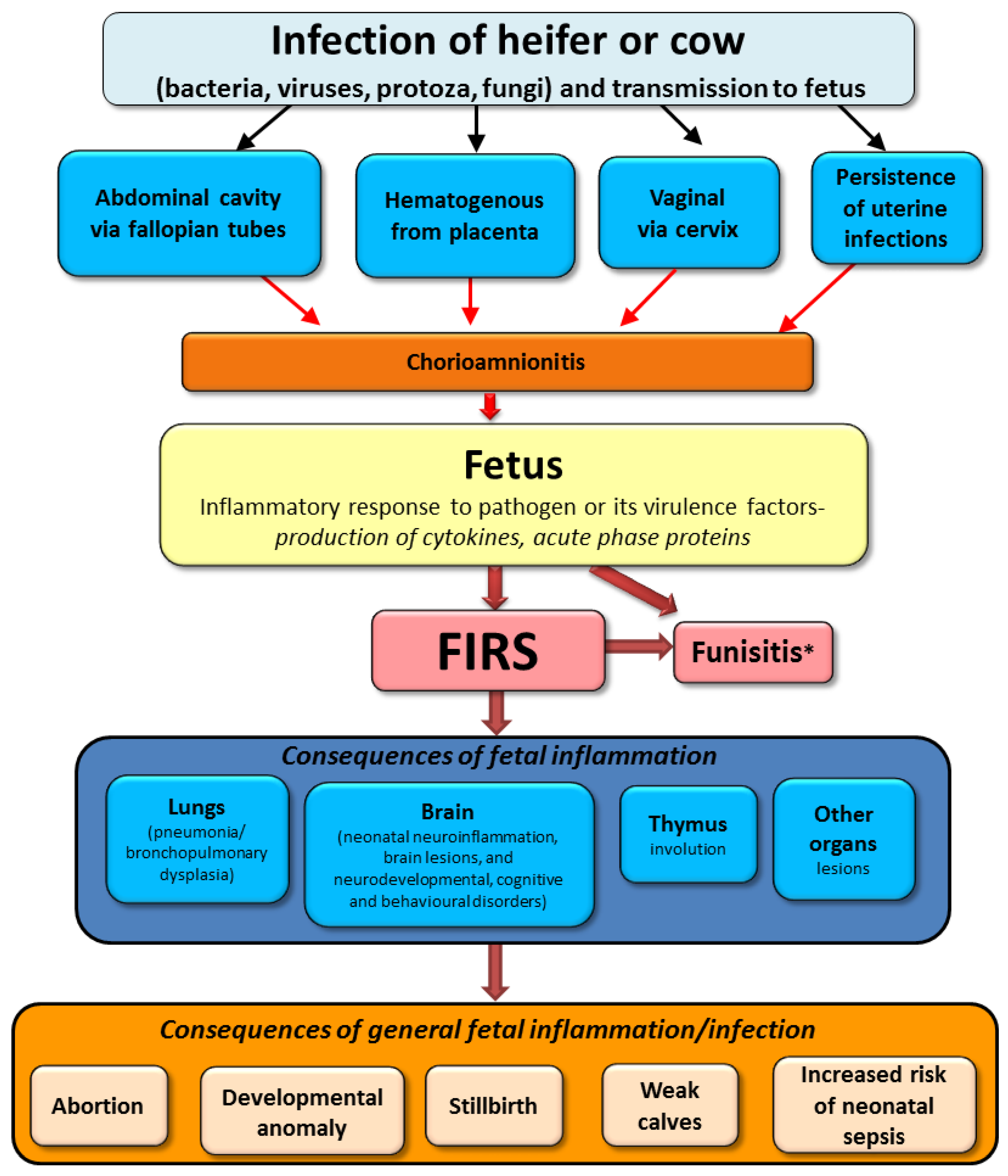 Animals 11 02102 g003 Animals 11 02102 g003