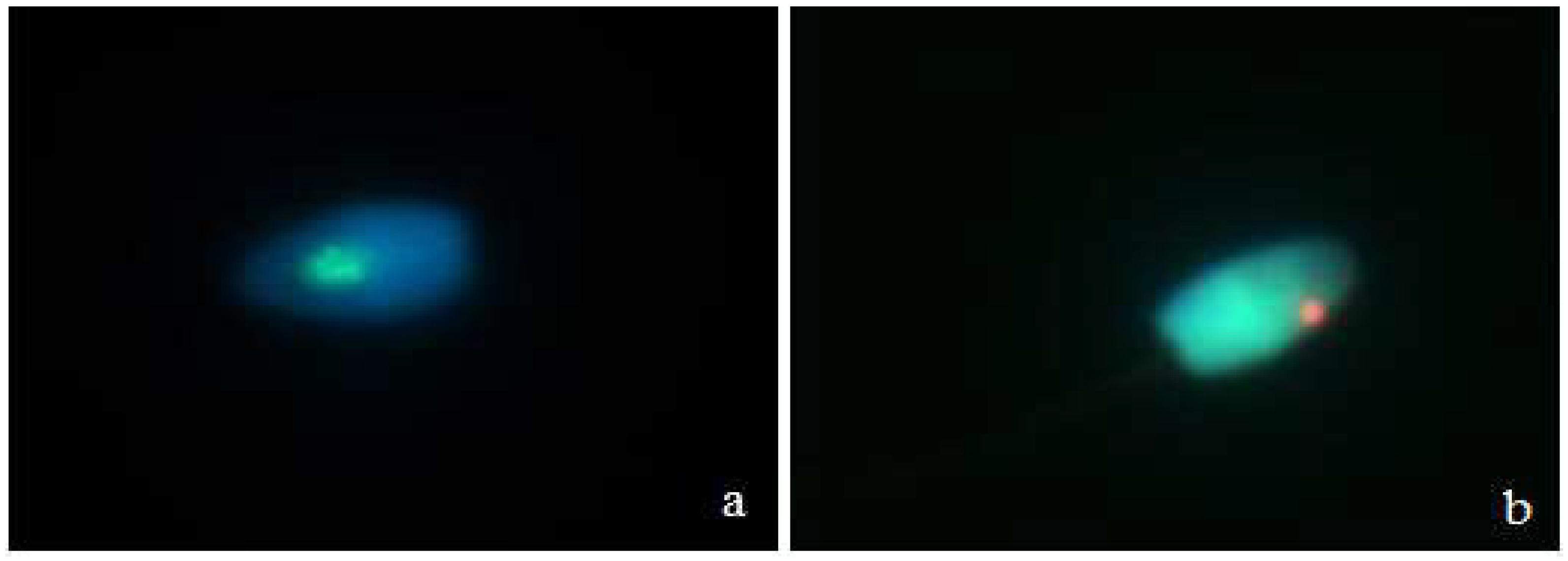 Animals 11 02106 g001